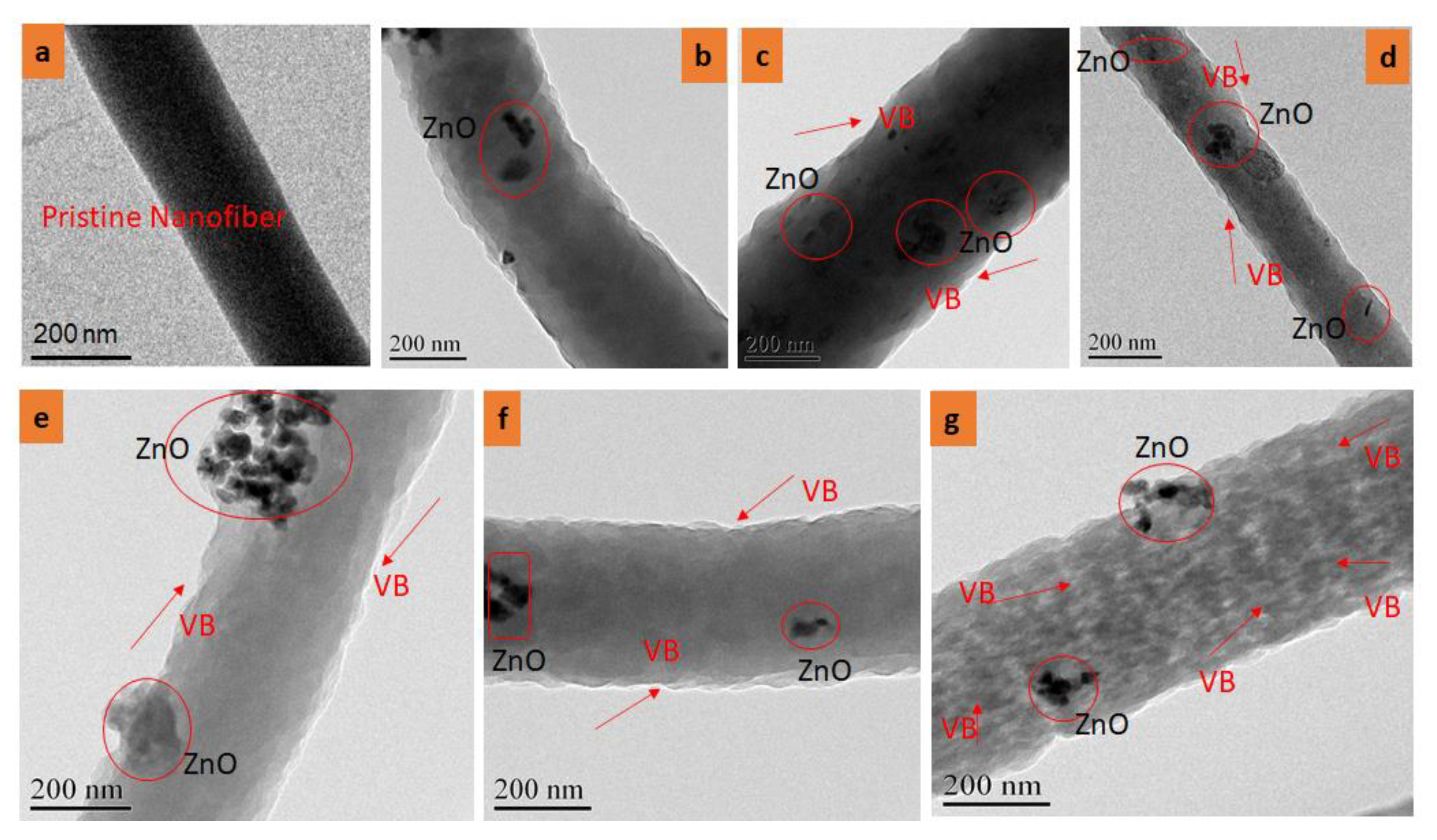 Nanomaterials 11 02208 g004