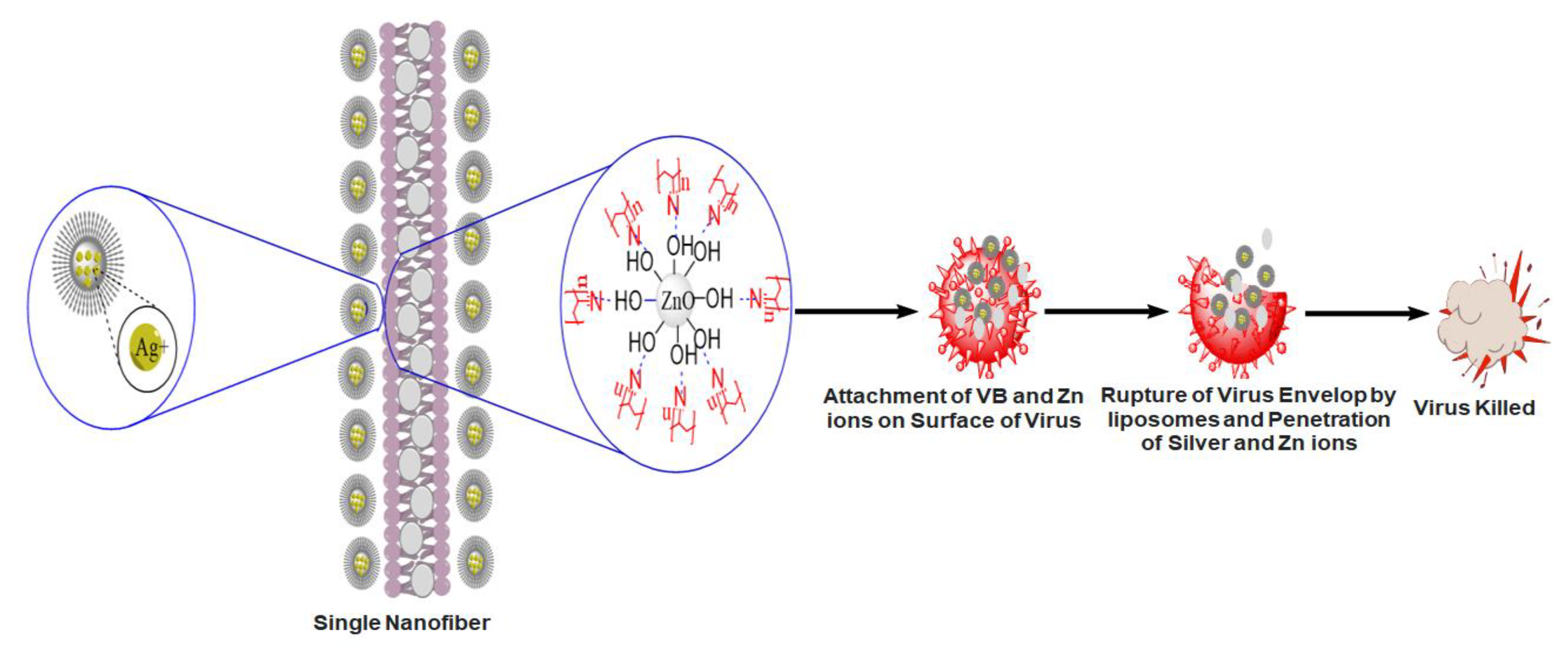 Nanomaterials 11 02208 g008