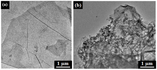 Nanomaterials 11 02211 g024 550