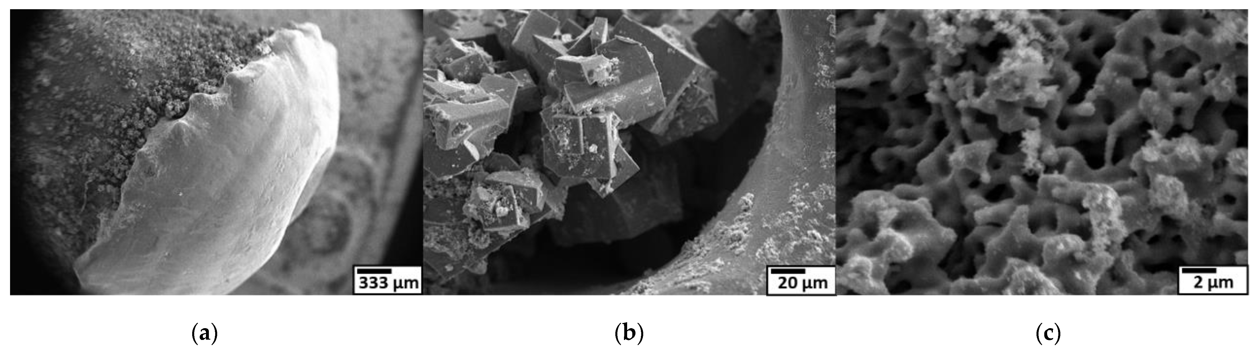 Nanomaterials 11 02214 g018