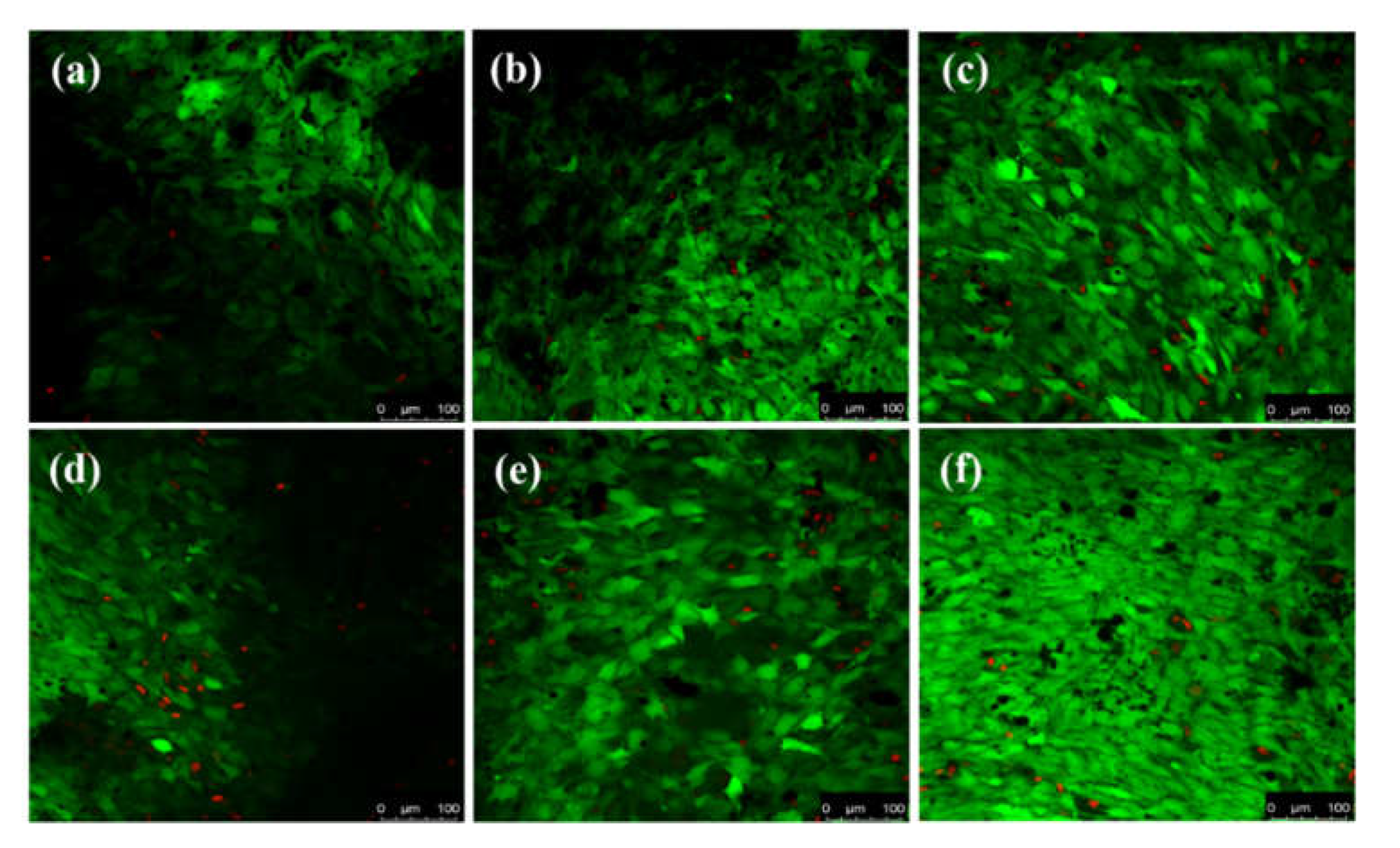 Nanomaterials 11 02216 g010 Nanomaterials 11 02216 g010