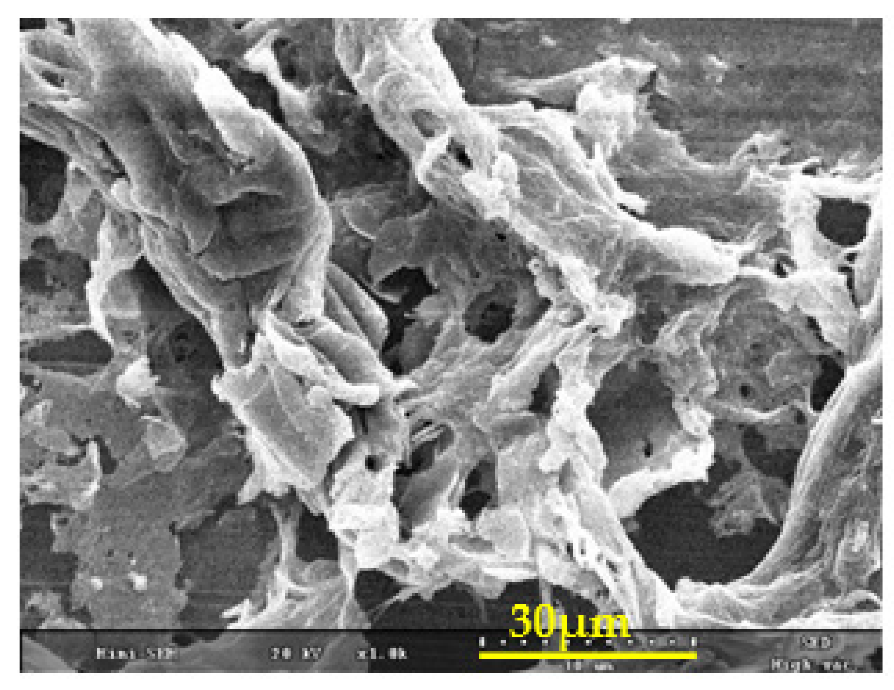 Nanomaterials 11 02217 g006 550