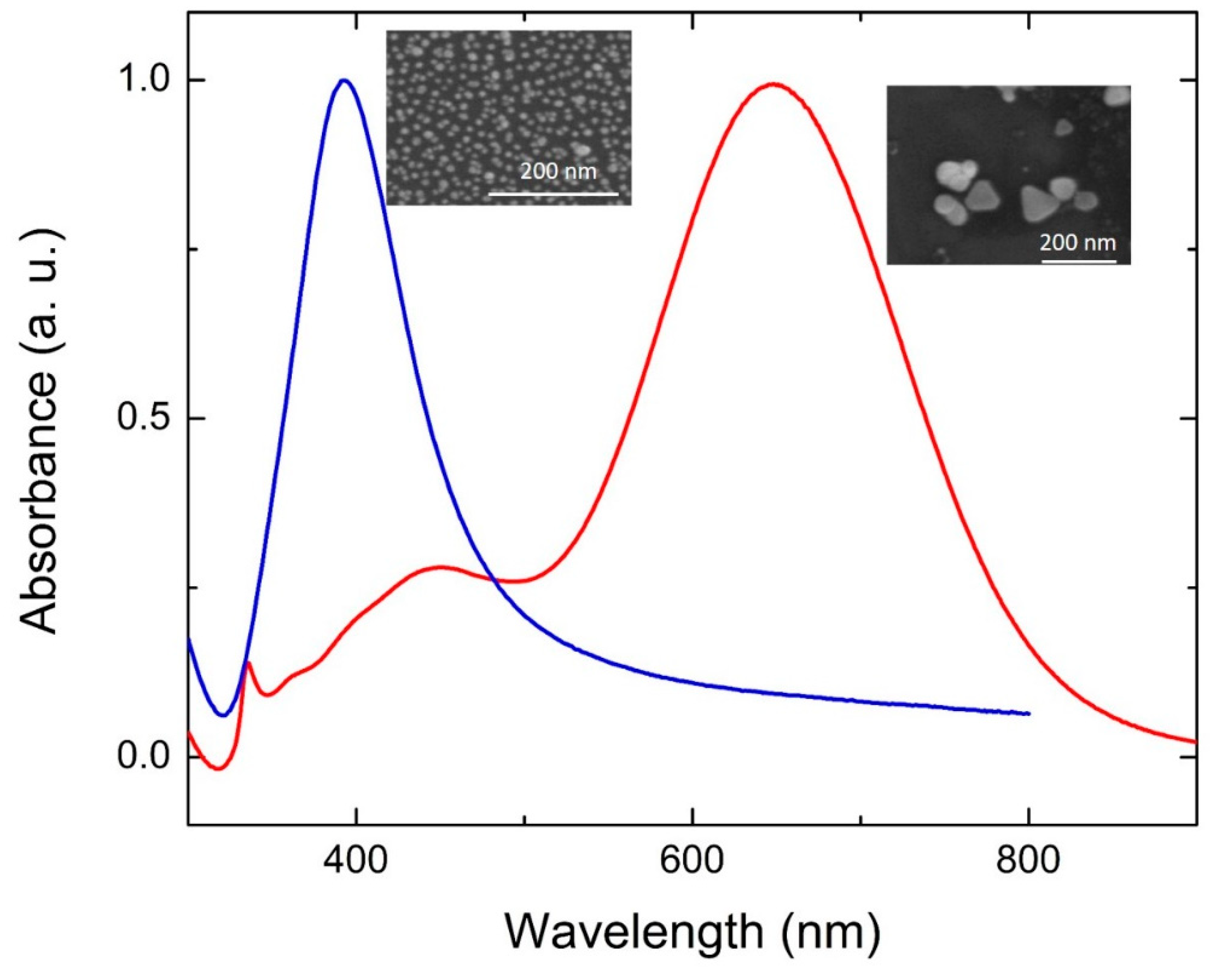 Nanomaterials 11 02226 g001
