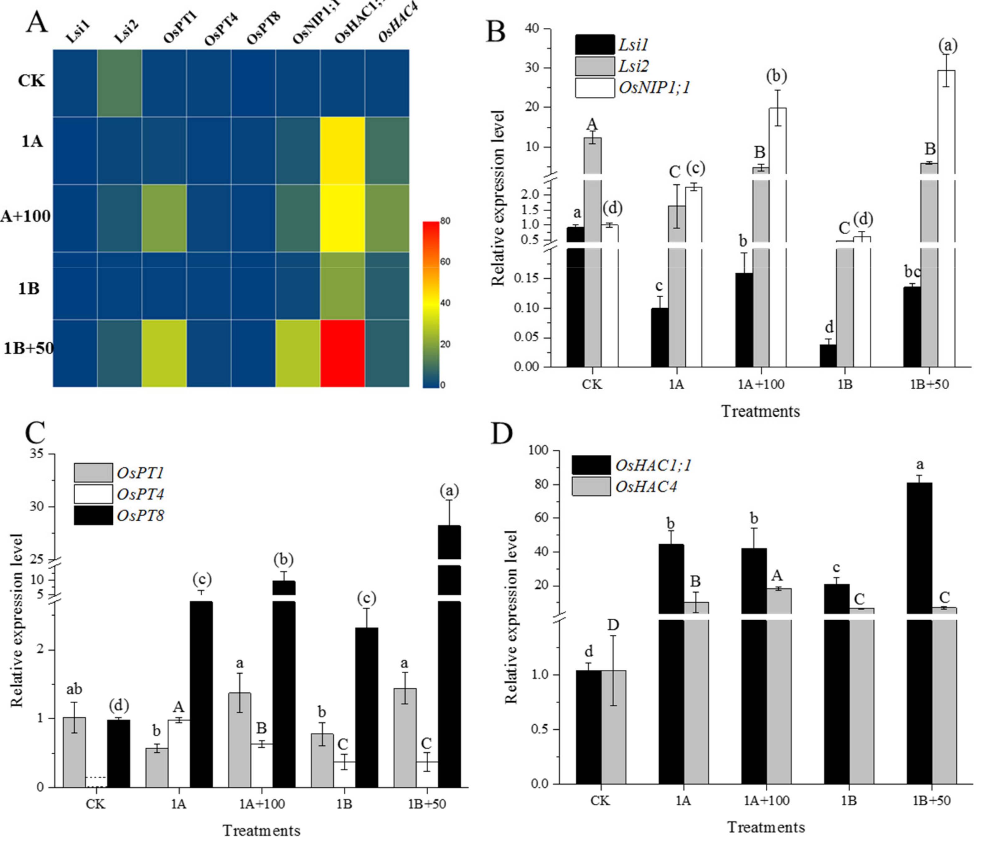 Nanomaterials 11 02228 g004 550
