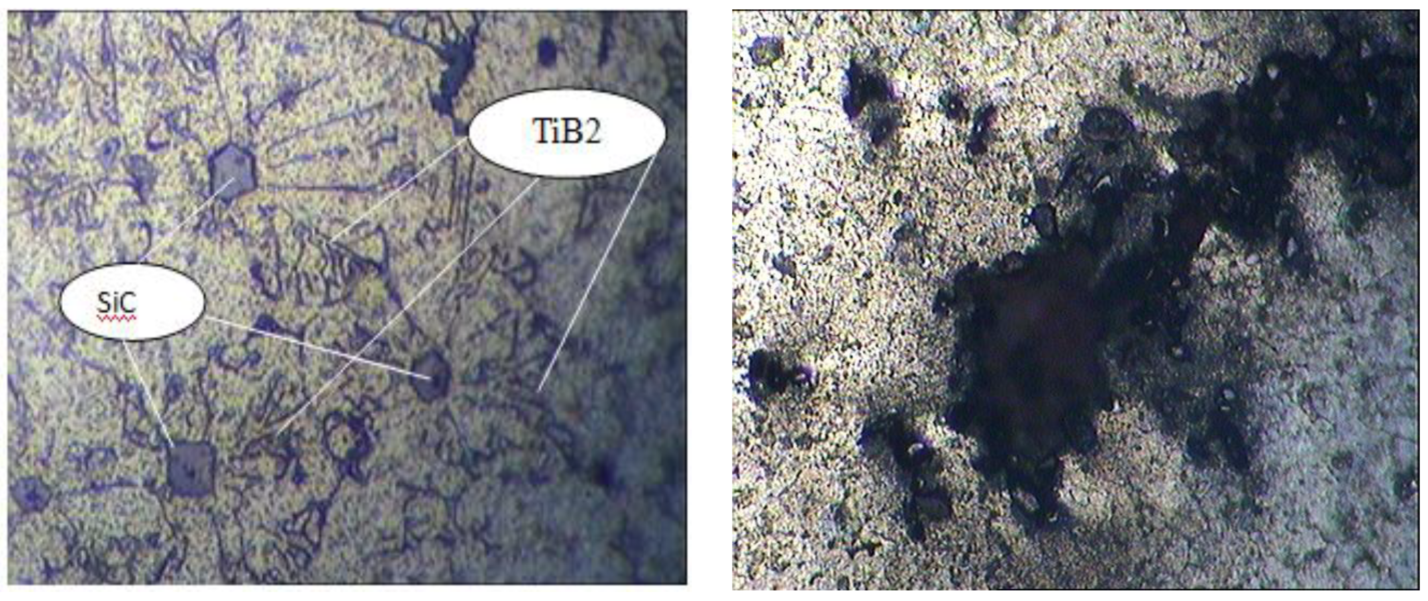 Nanomaterials 11 02230 g004 550