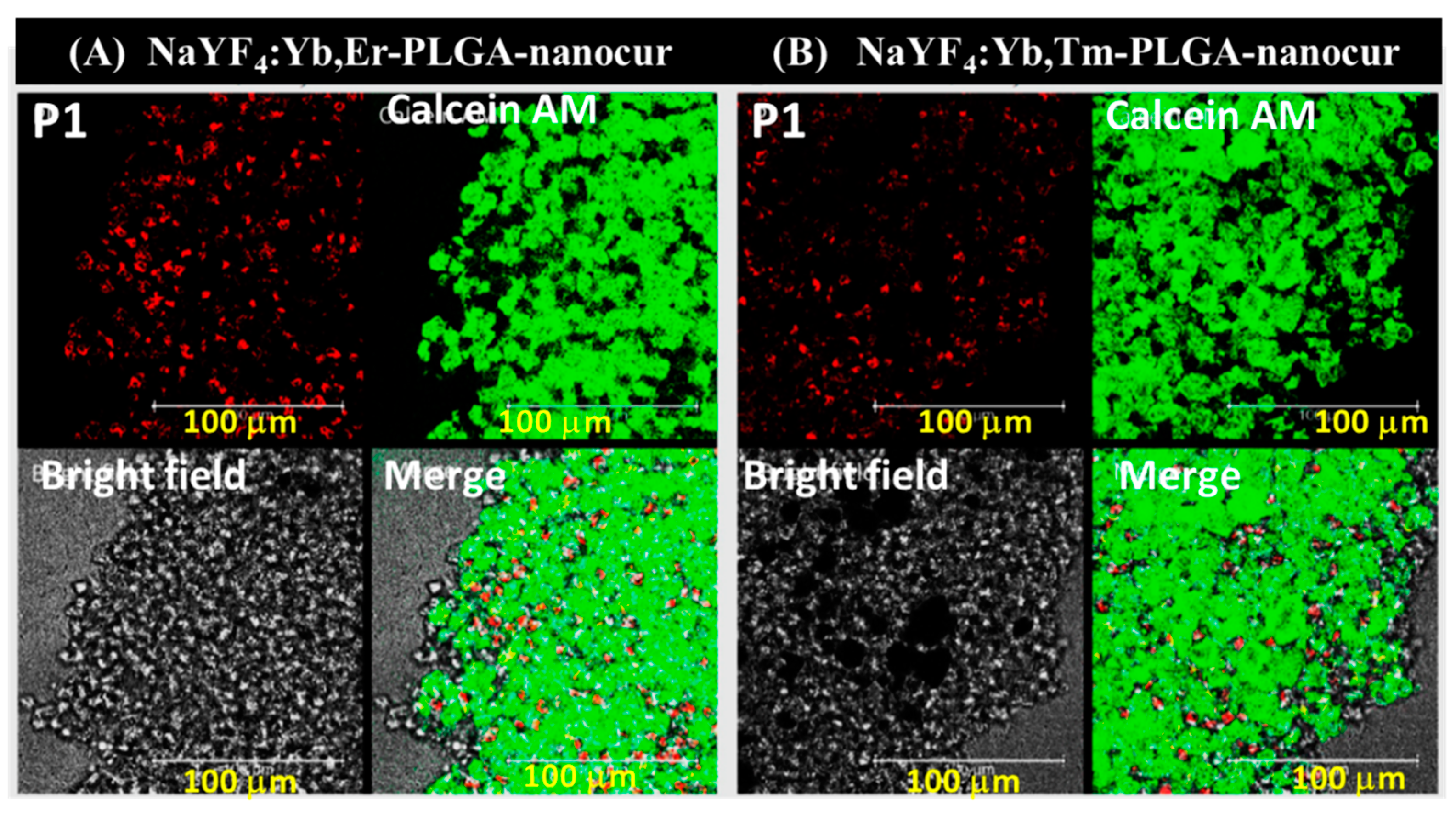 Nanomaterials 11 02234 g010 550