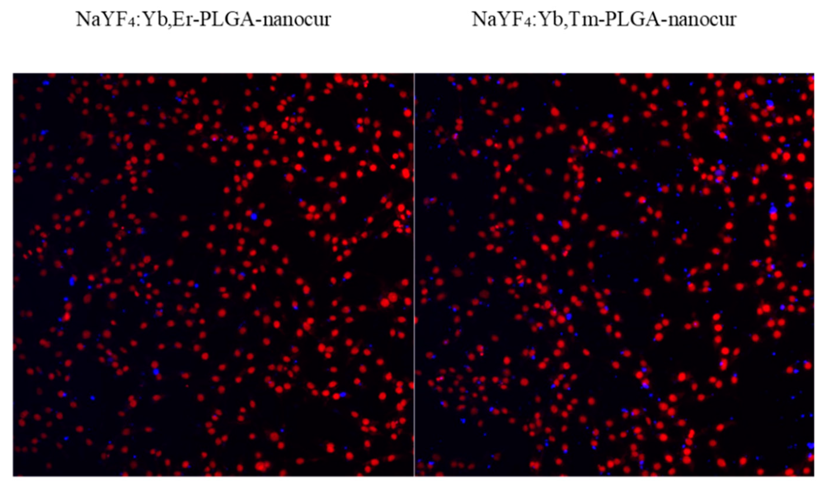 Nanomaterials 11 02234 g012 550