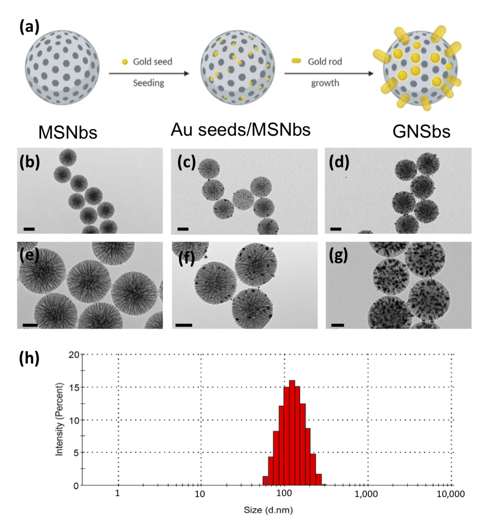 Nanomaterials 11 02235 g001
