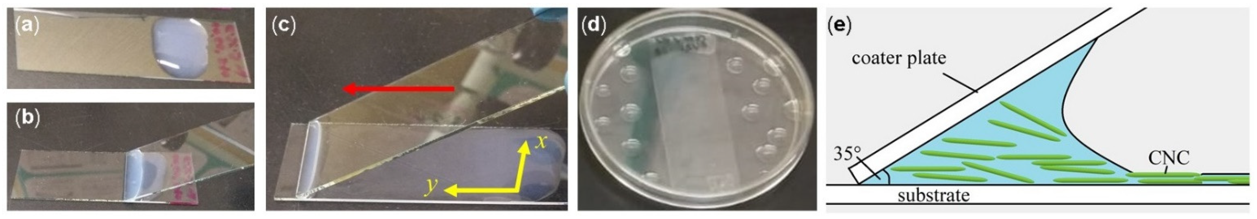 Nanomaterials 11 02239 g001