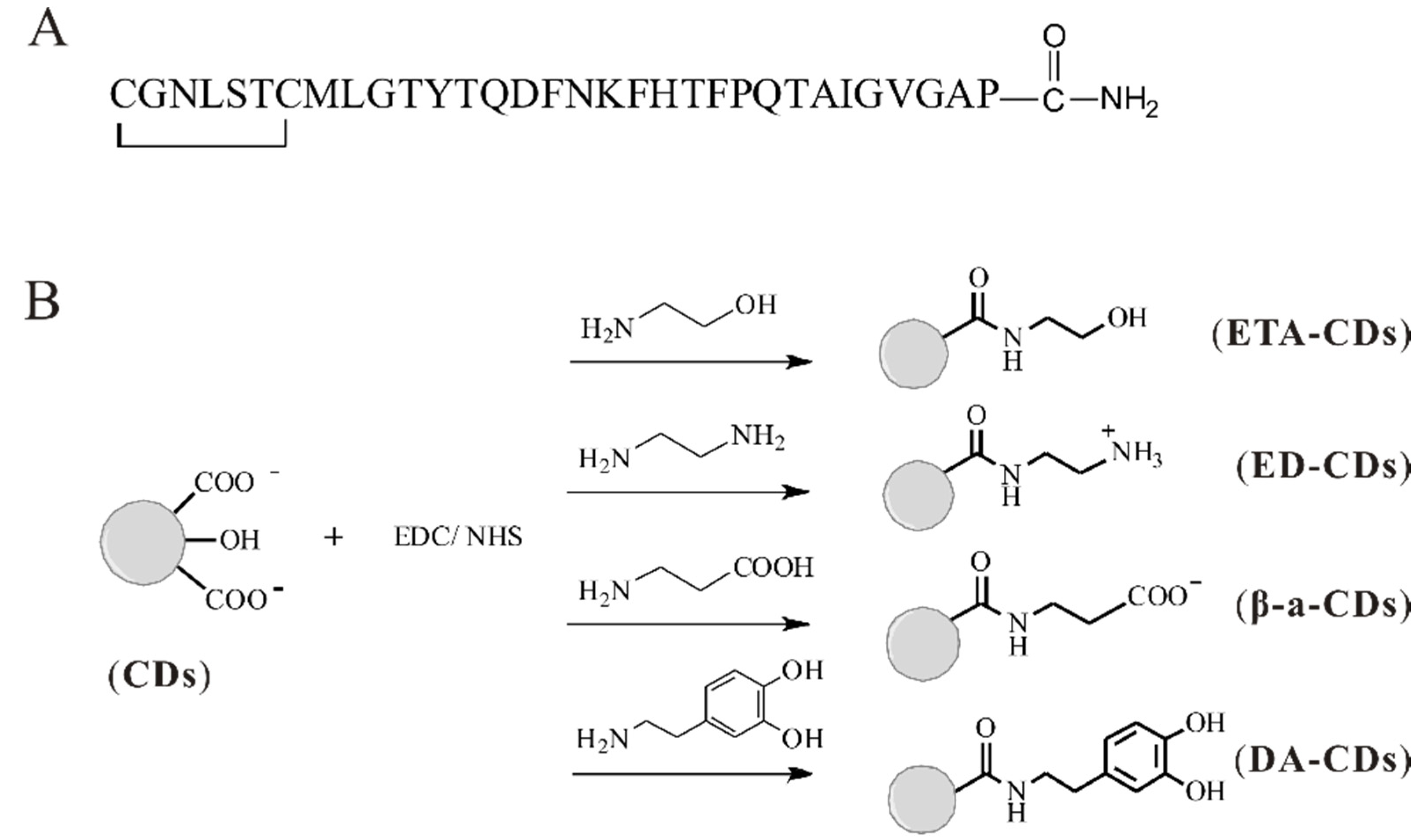 Nanomaterials 11 02242 g001 550