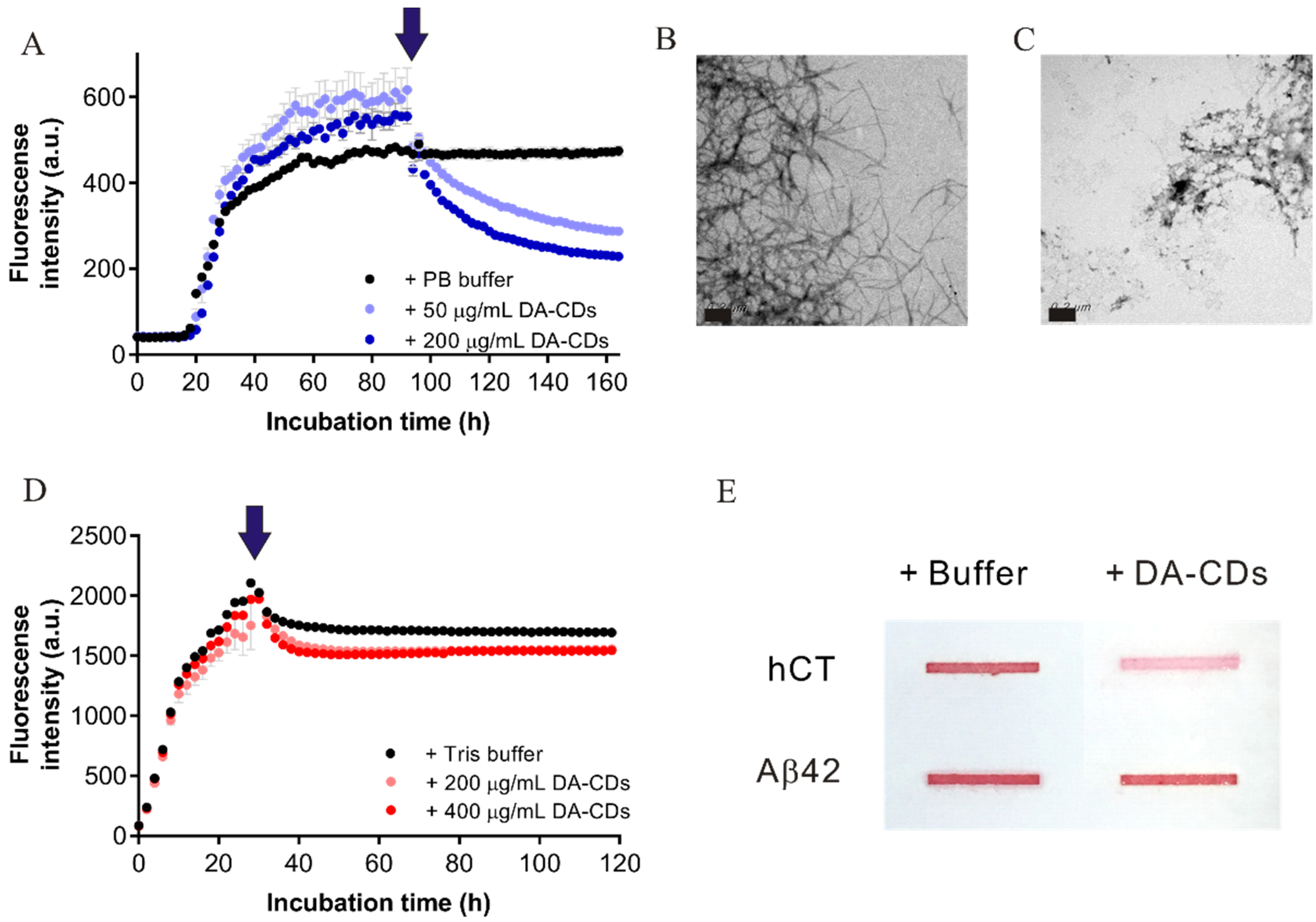 Nanomaterials 11 02242 g006 550