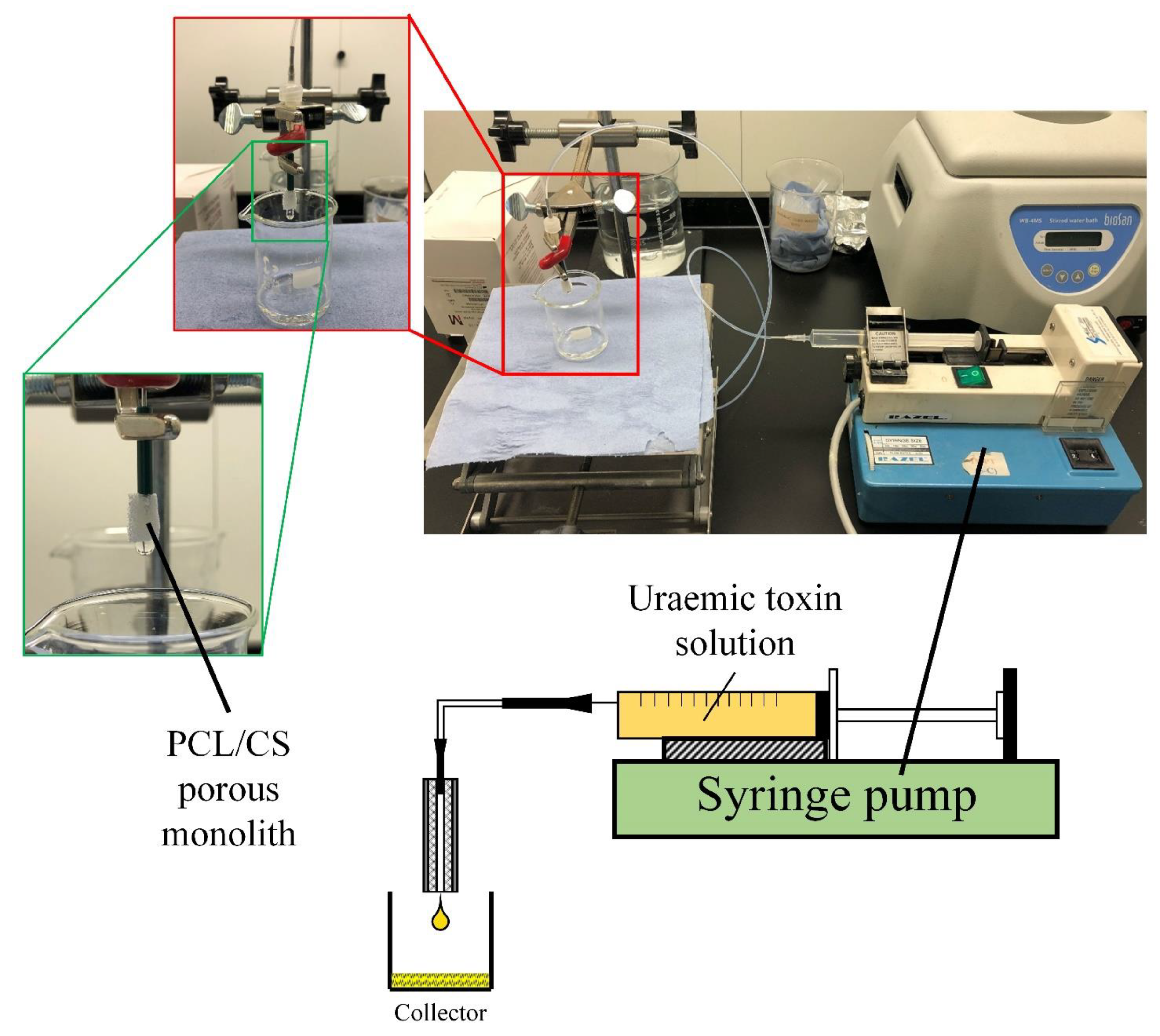 Nanomaterials 11 02247 g002 550