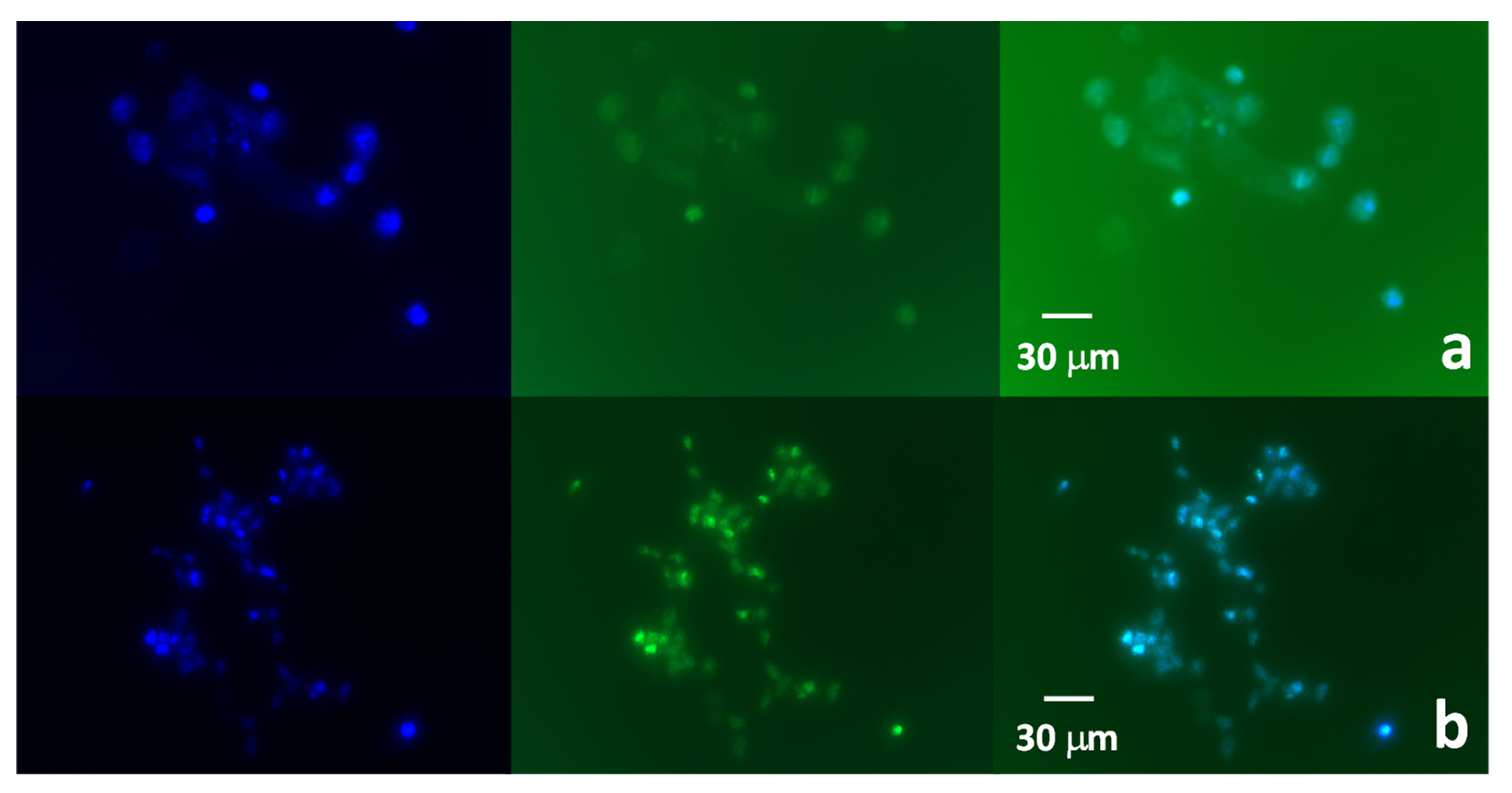 Nanomaterials 11 02249 g007
