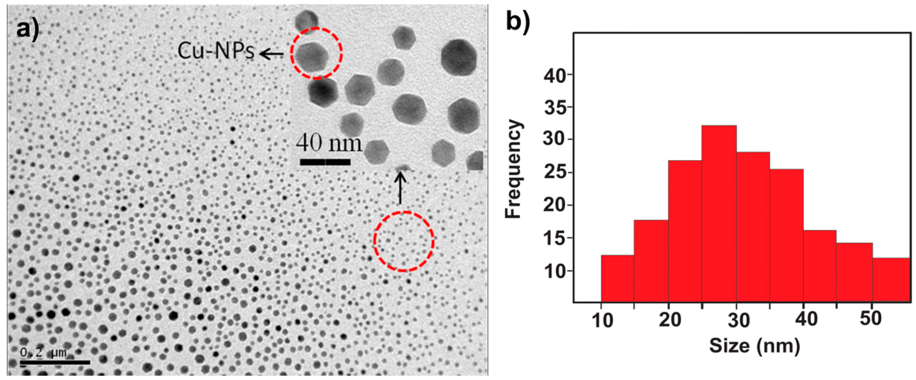 Nanomaterials 11 02254 g001 Nanomaterials 11 02254 g001