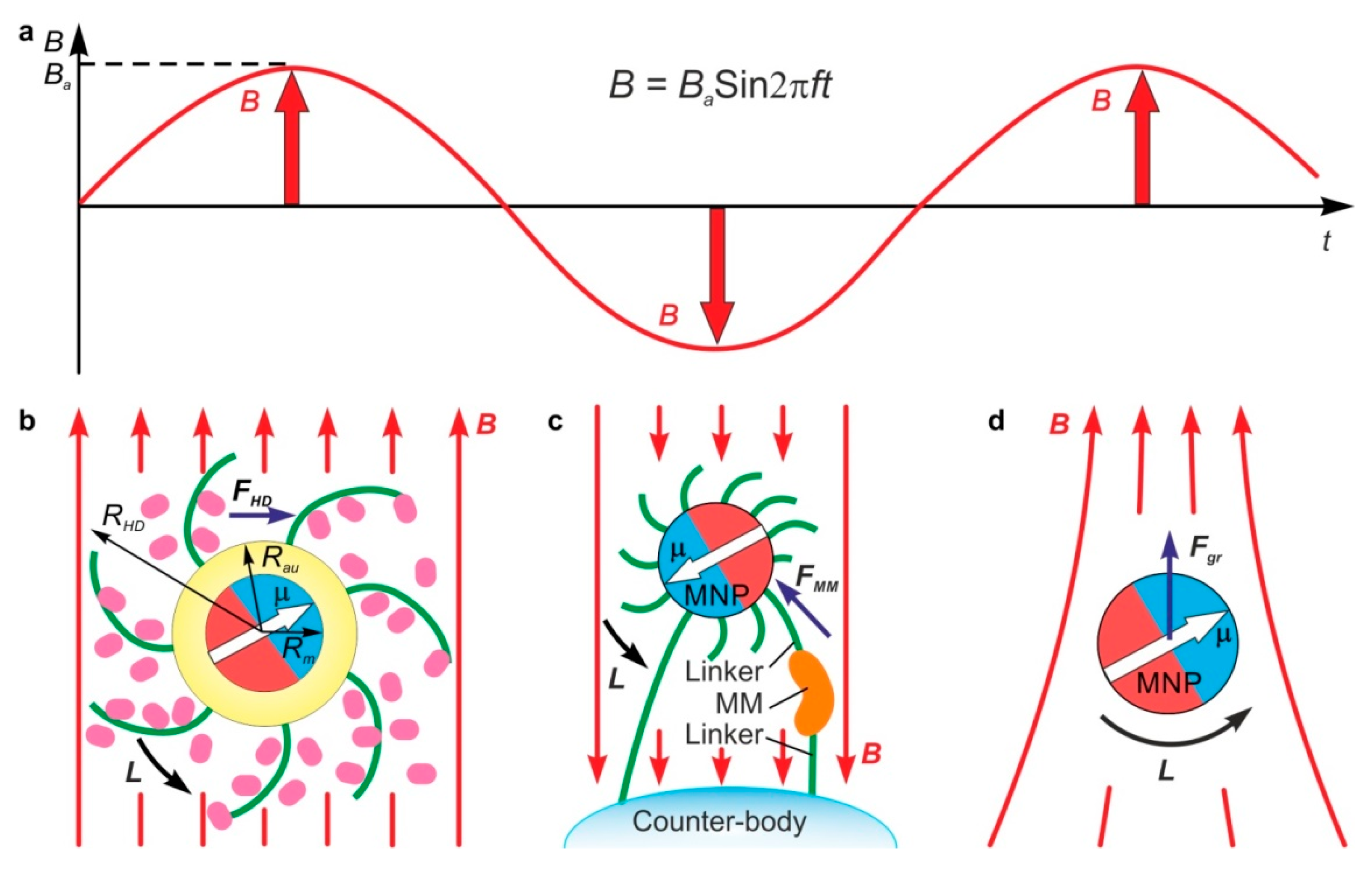 Nanomaterials 11 02255 g002