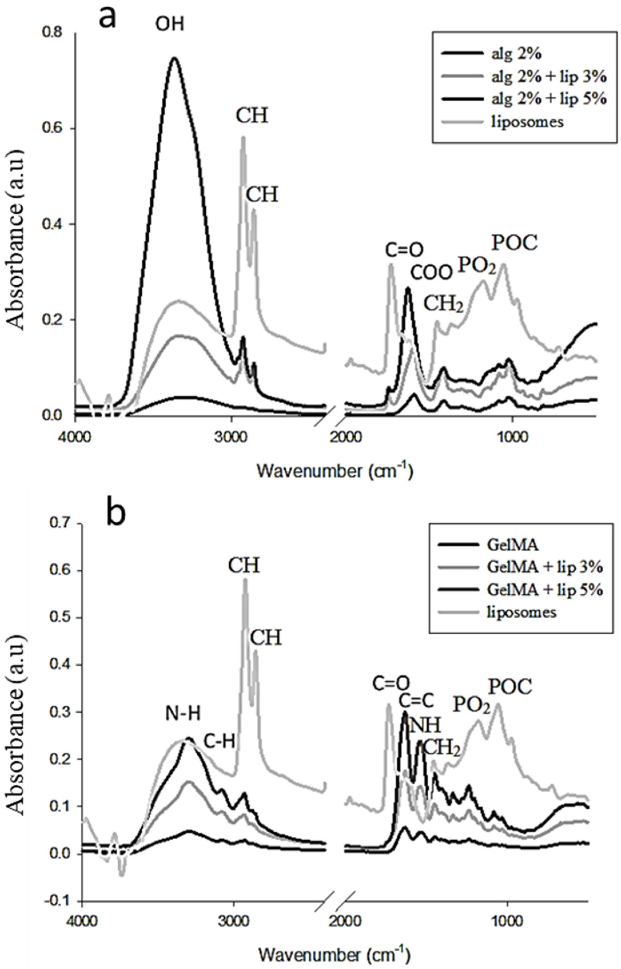 Nanomaterials 11 02256 g001