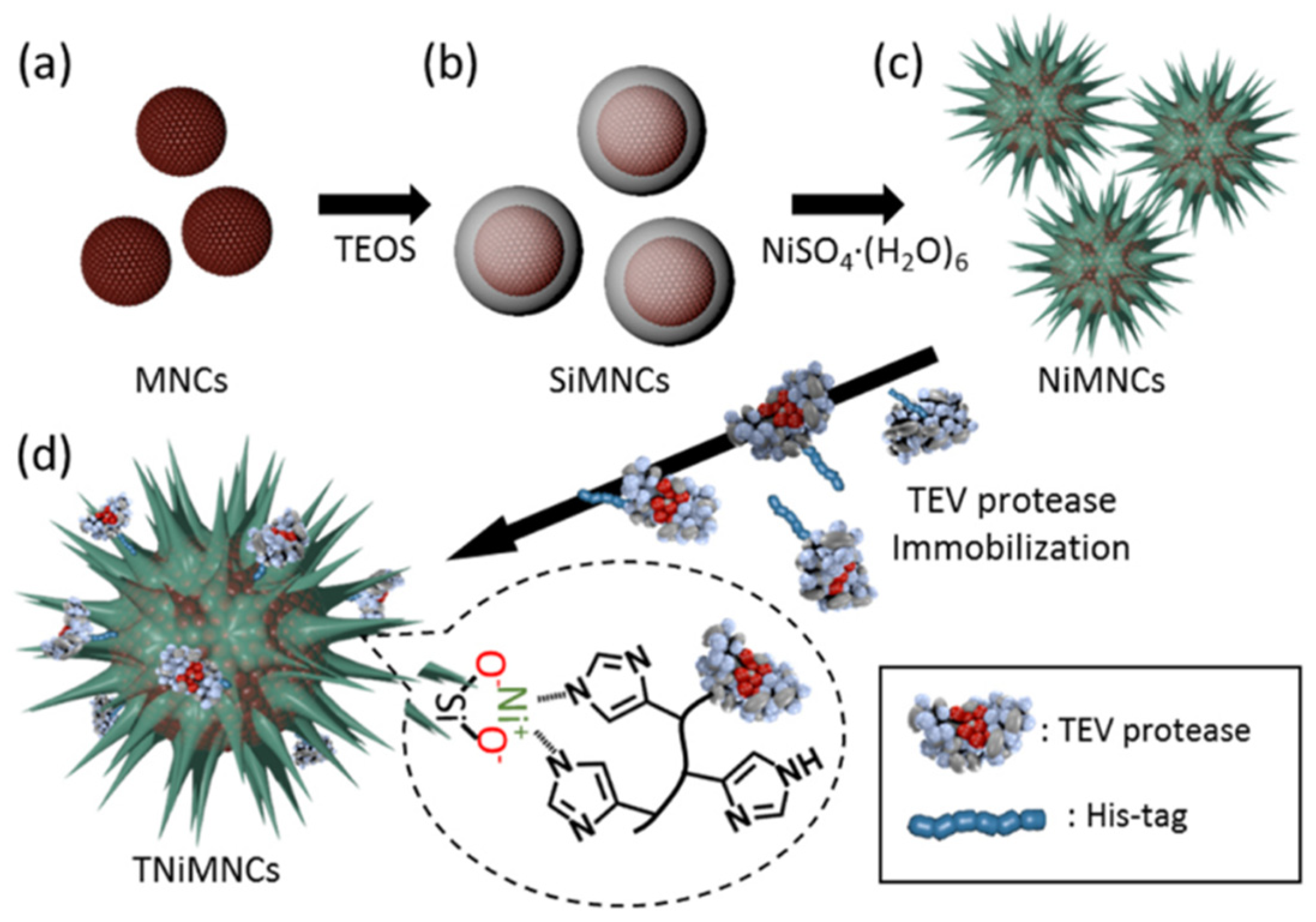 Nanomaterials 11 02257 g008