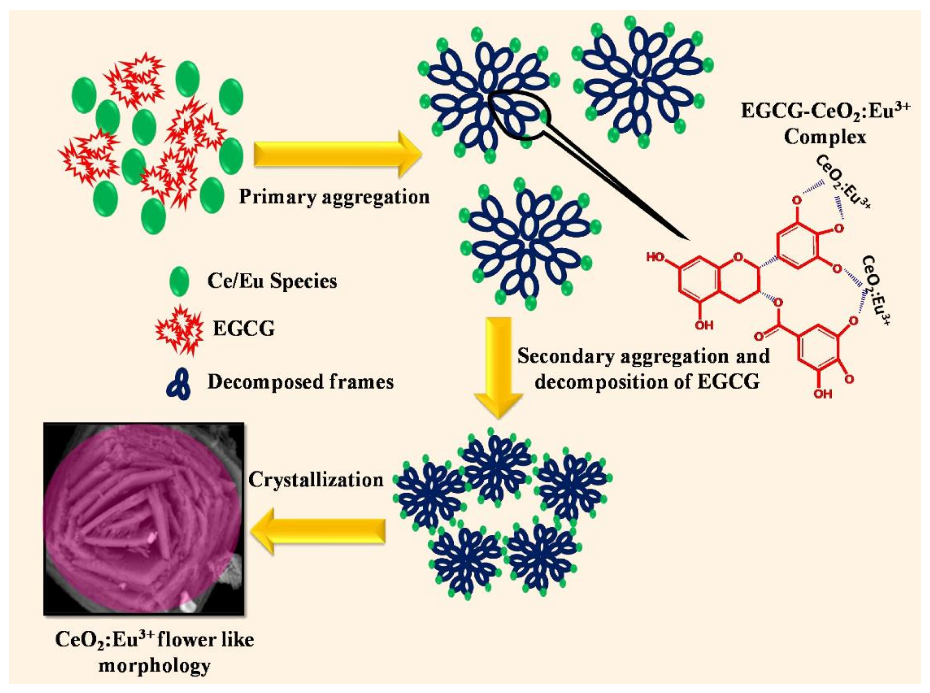 Nanomaterials 11 02259 g004 Nanomaterials 11 02259 g004