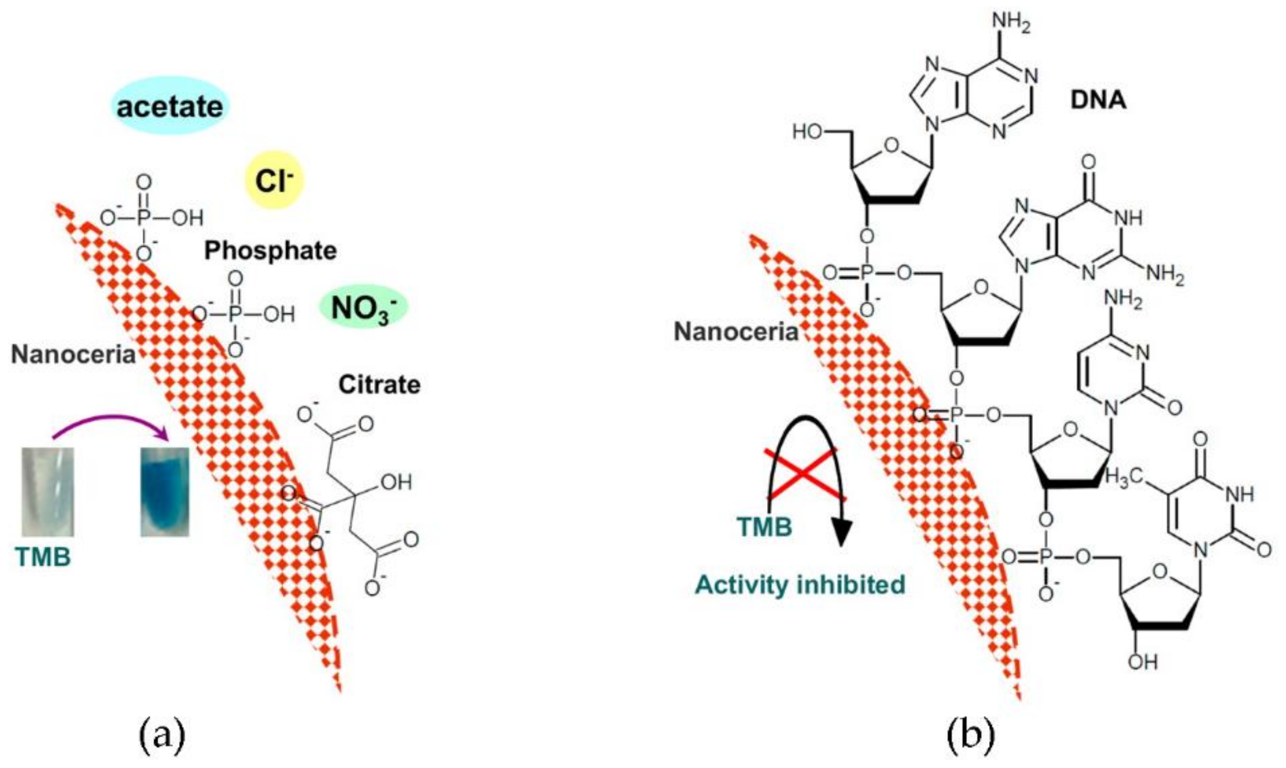 Nanomaterials 11 02259 g005 Nanomaterials 11 02259 g005