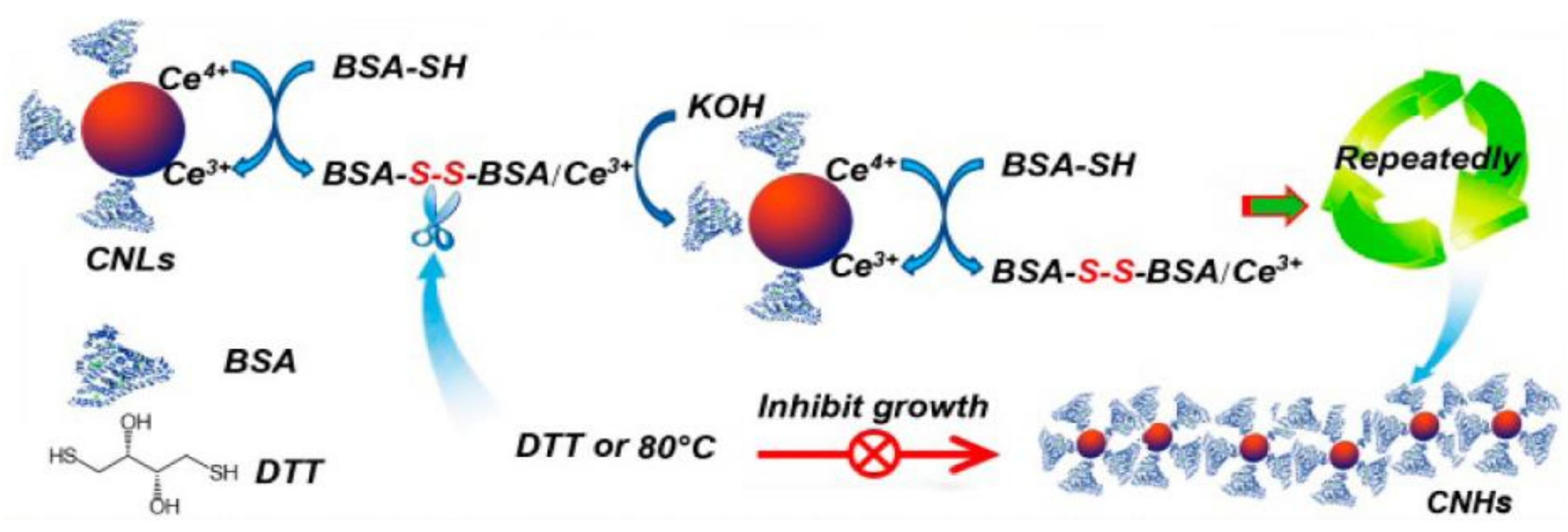 Nanomaterials 11 02259 g006 Nanomaterials 11 02259 g006