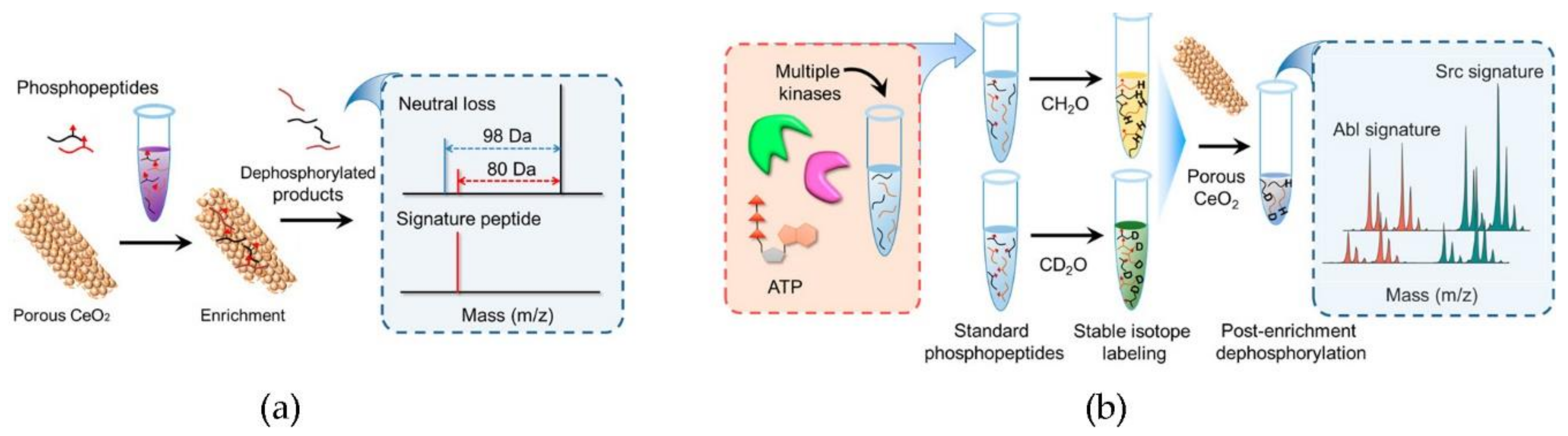 Nanomaterials 11 02259 g008 Nanomaterials 11 02259 g008