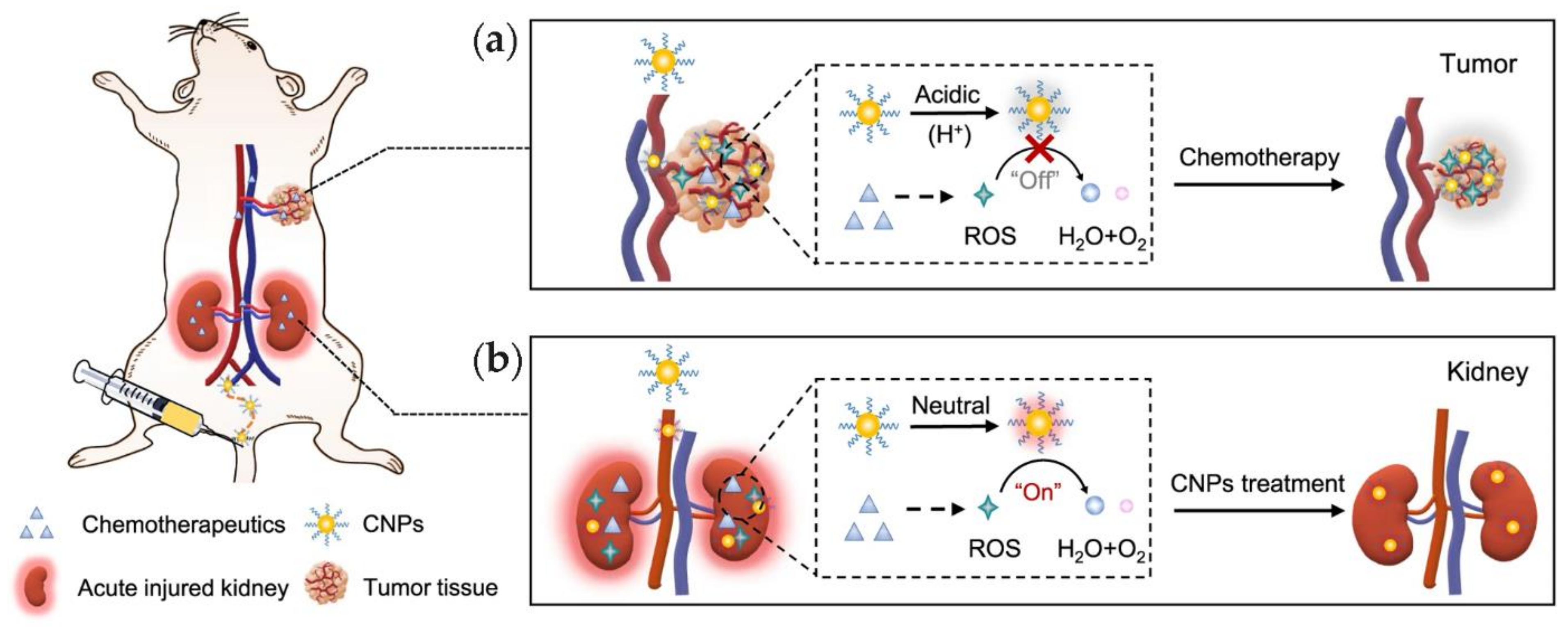Nanomaterials 11 02259 g011 Nanomaterials 11 02259 g011