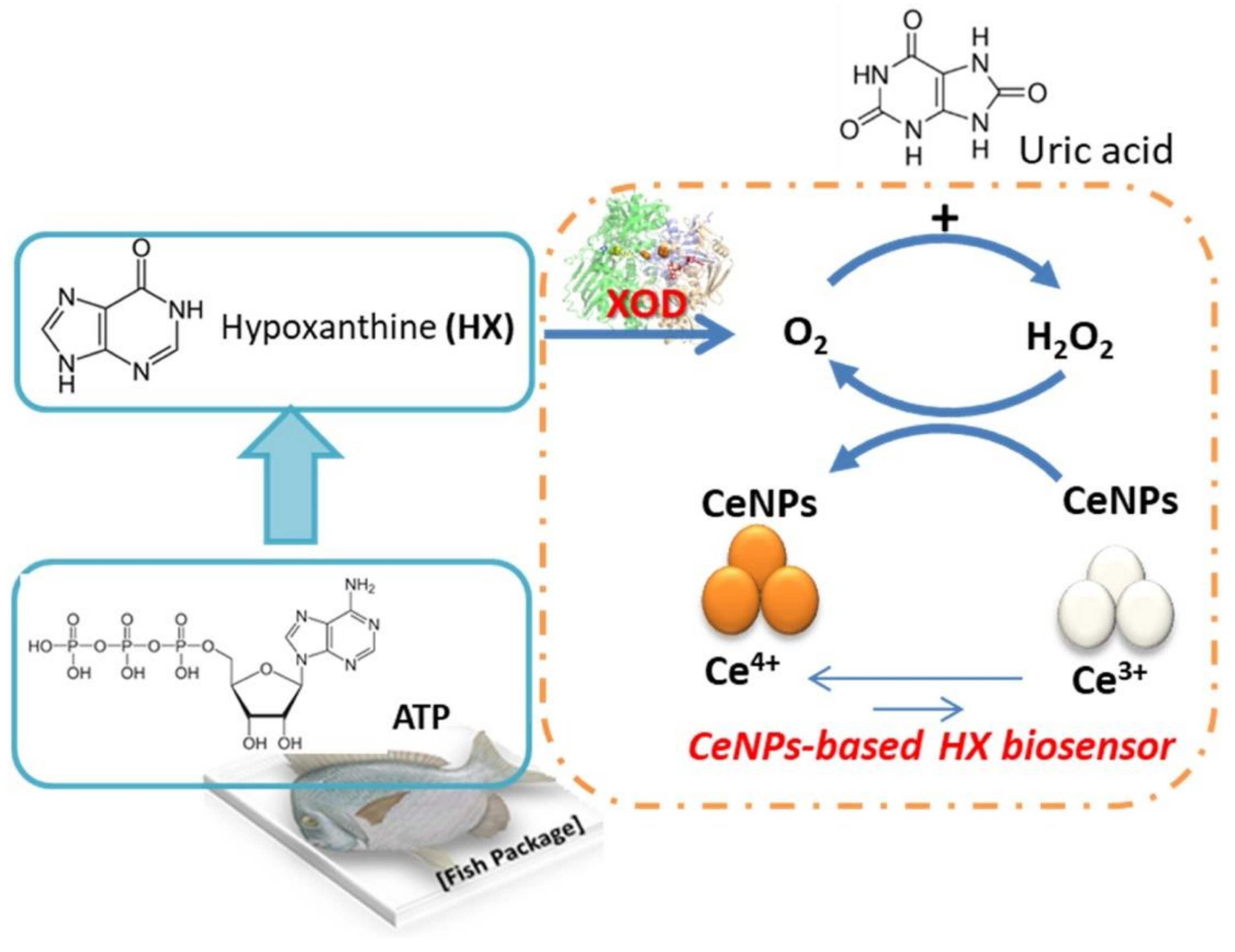 Nanomaterials 11 02259 g012 Nanomaterials 11 02259 g012