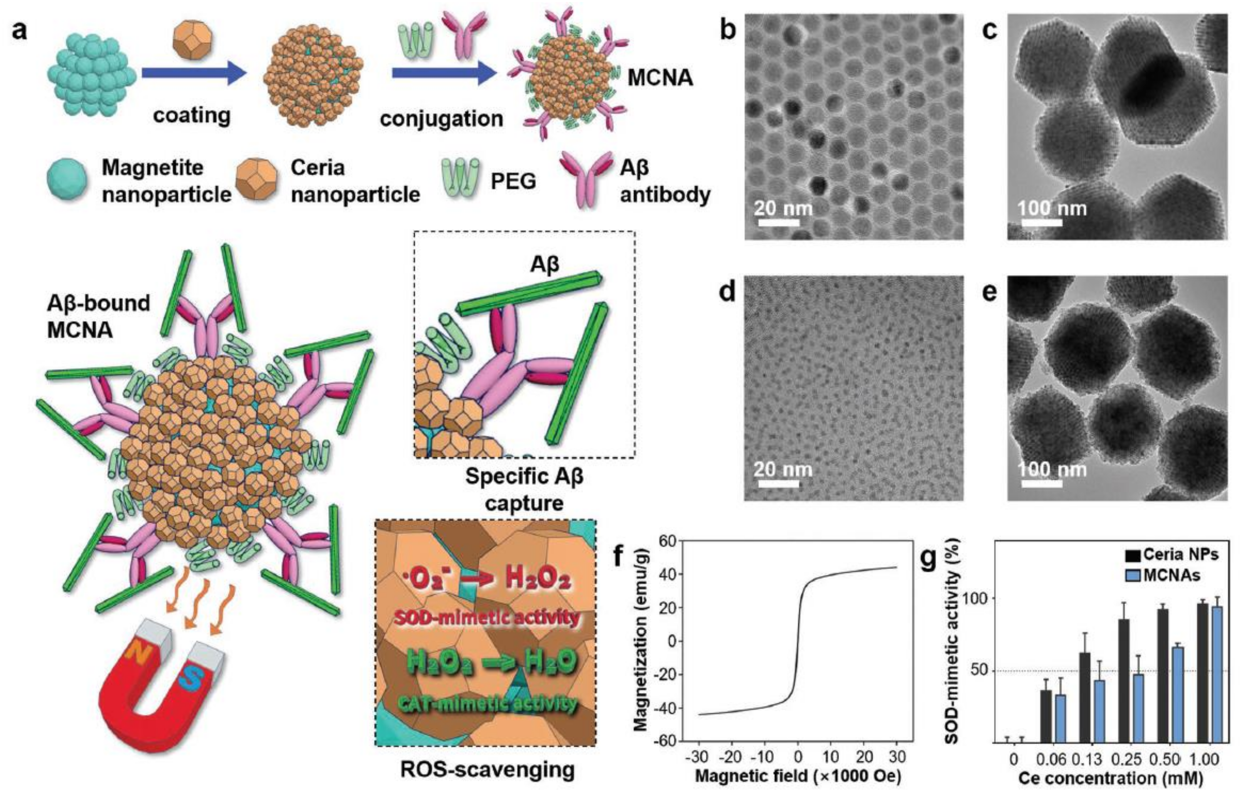 Nanomaterials 11 02259 g014 Nanomaterials 11 02259 g014