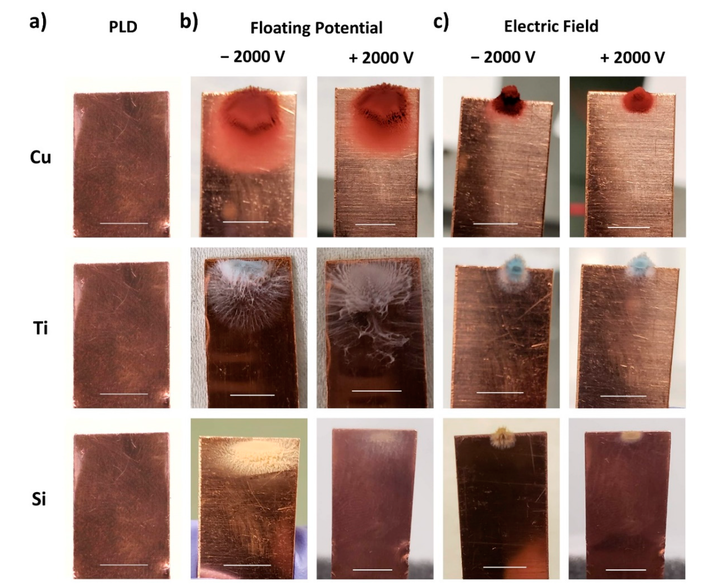 Nanomaterials 11 02264 g003 550