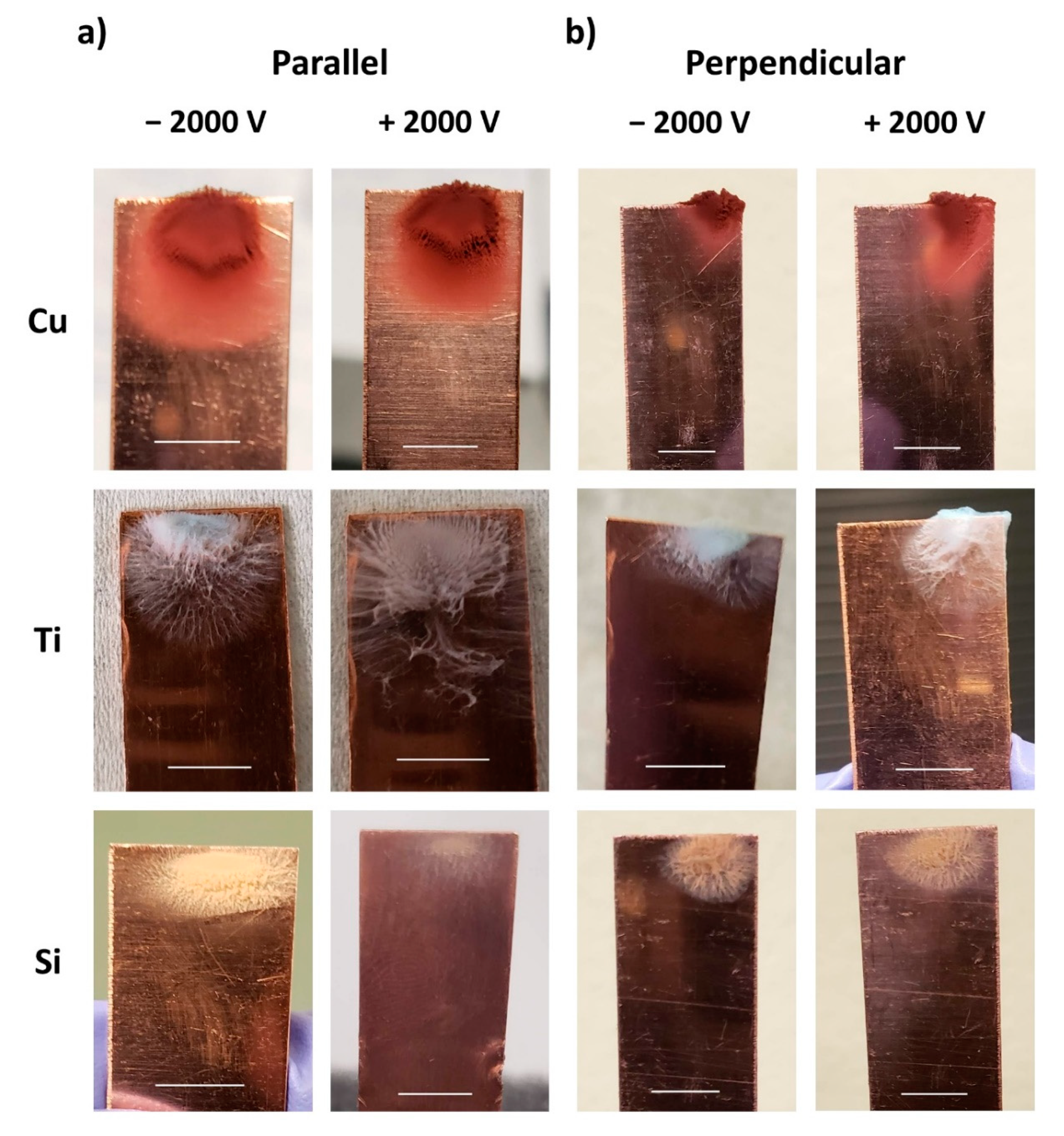 Nanomaterials 11 02264 g007 550