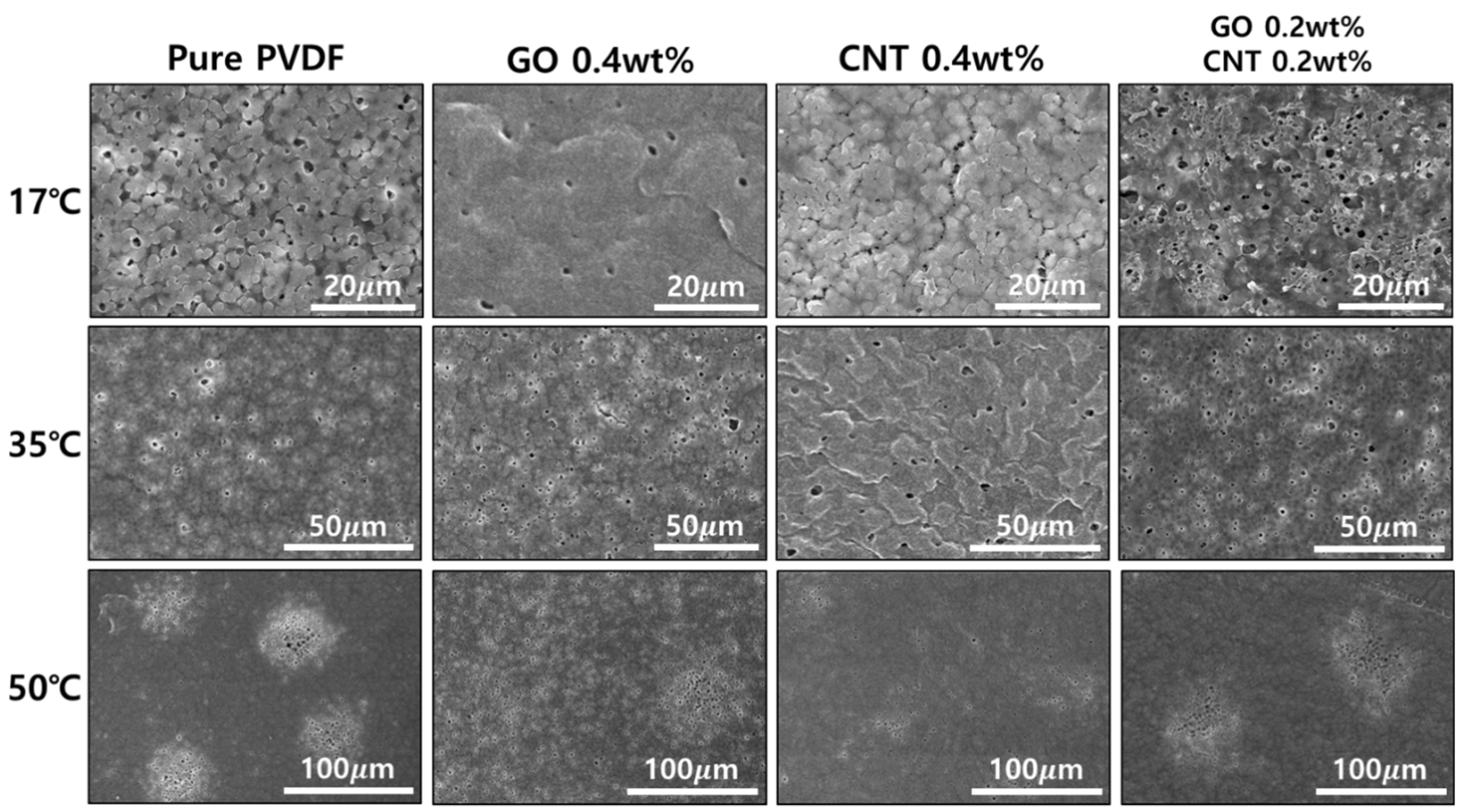 Nanomaterials 11 02269 g003