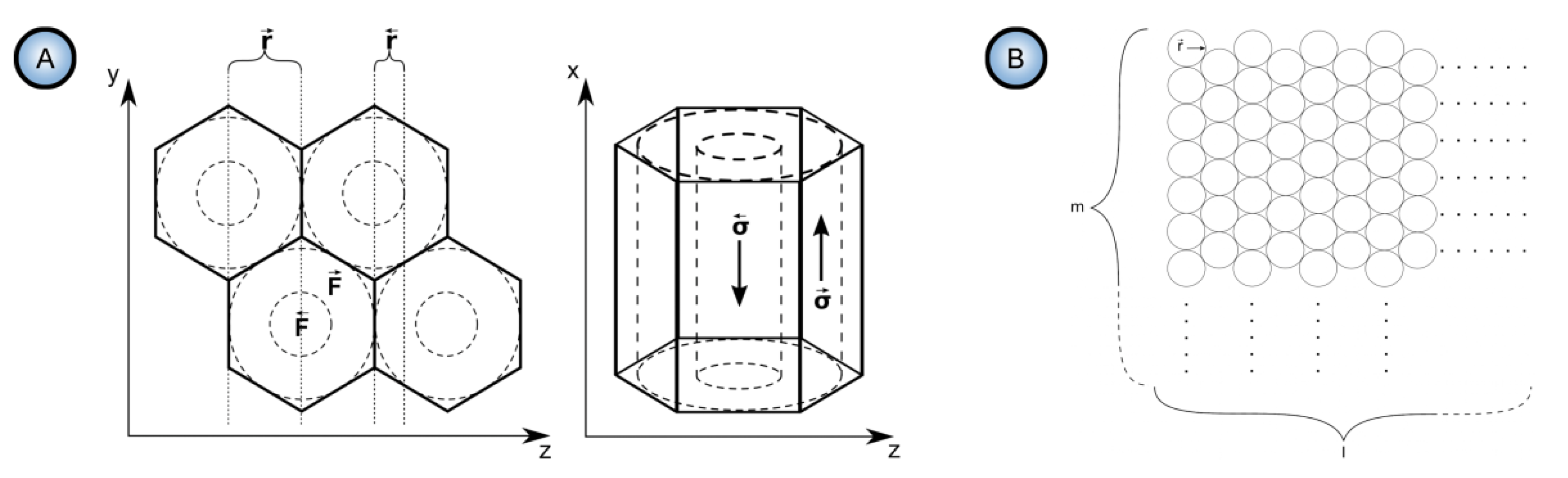 Nanomaterials Free Full Text Conceptual Progress For Explaining And Predicting Self Organization On Anodized Aluminum Surfaces Html