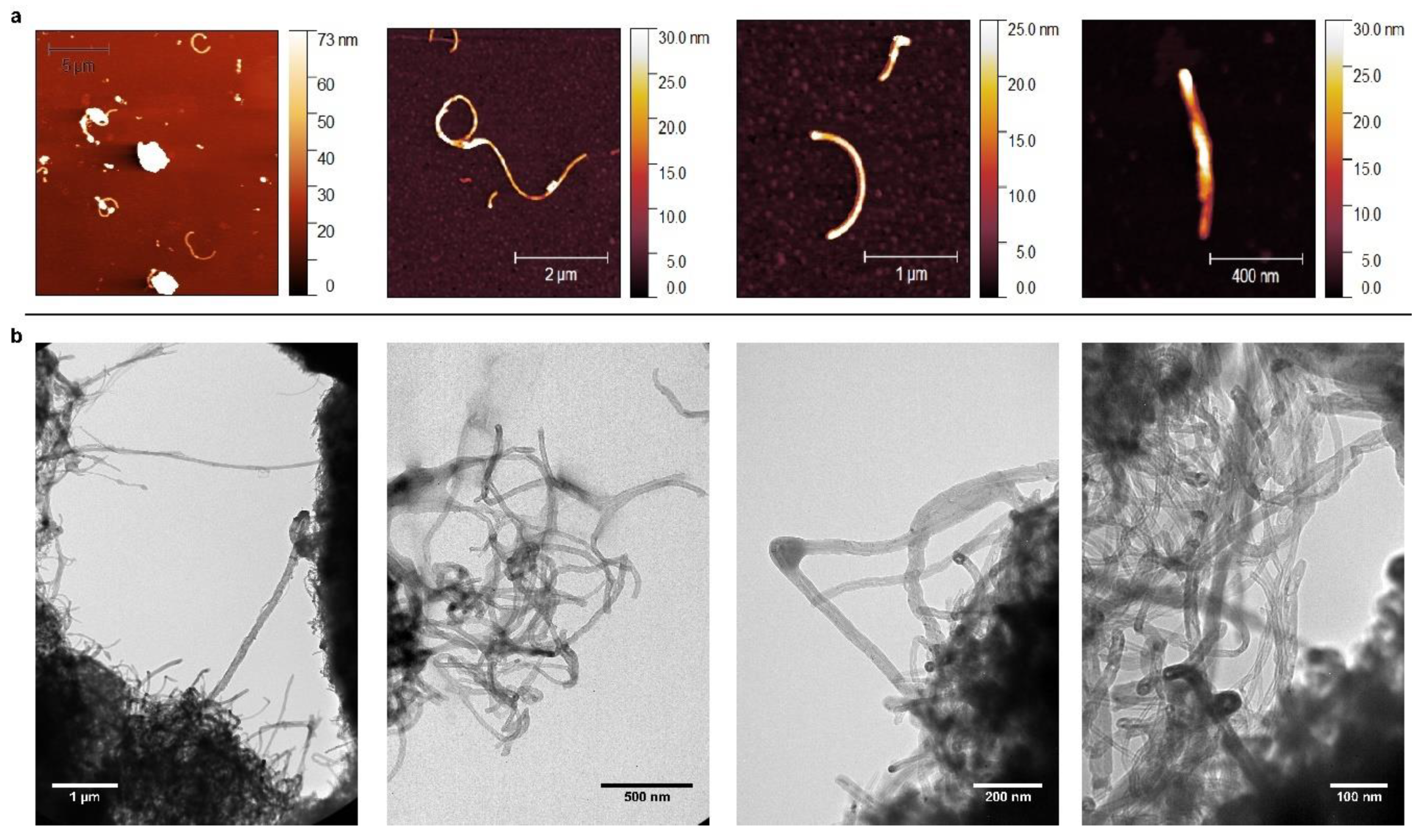 Nanomaterials 11 02272 g001