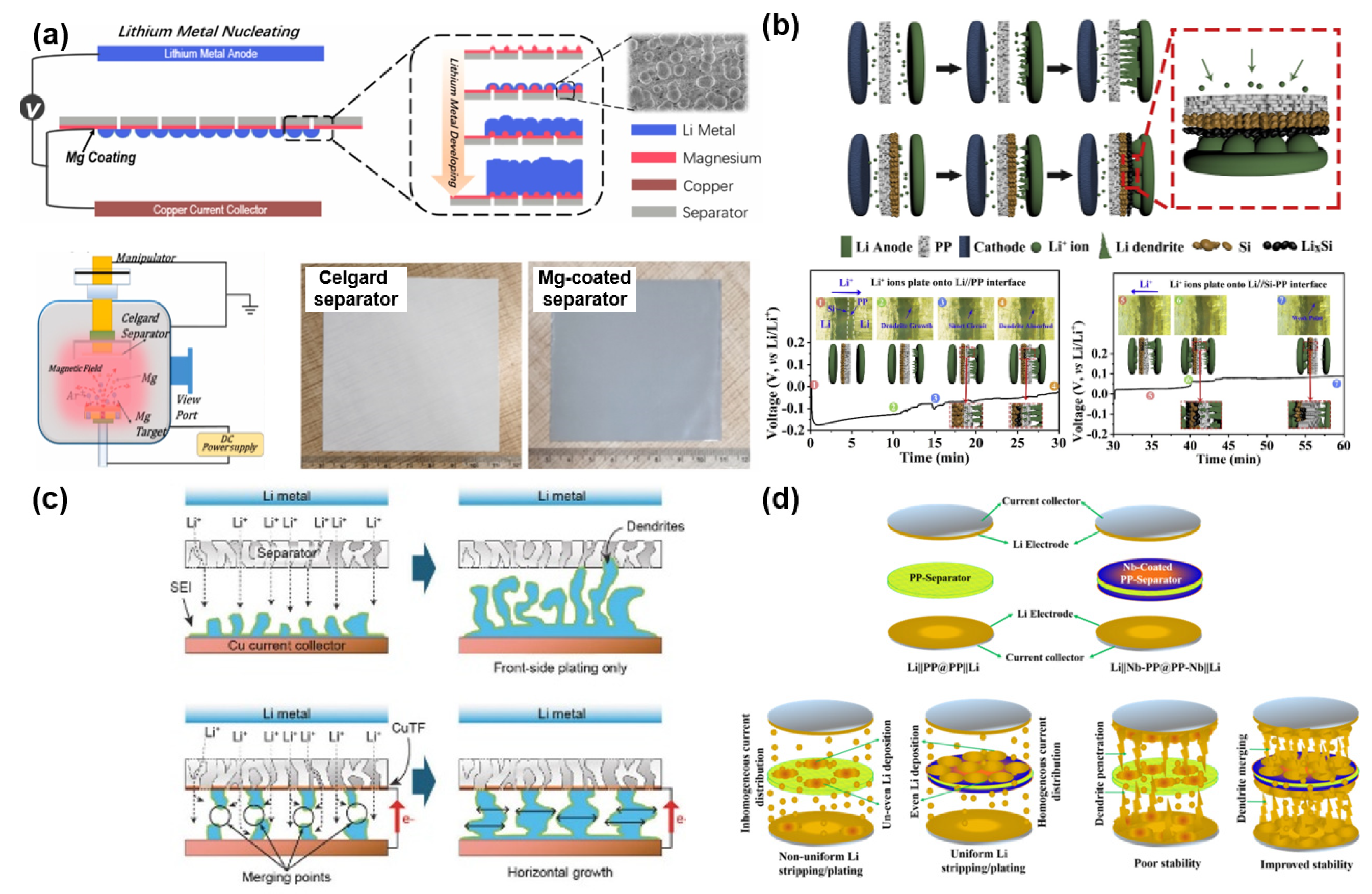 Nanomaterials 11 02275 g007
