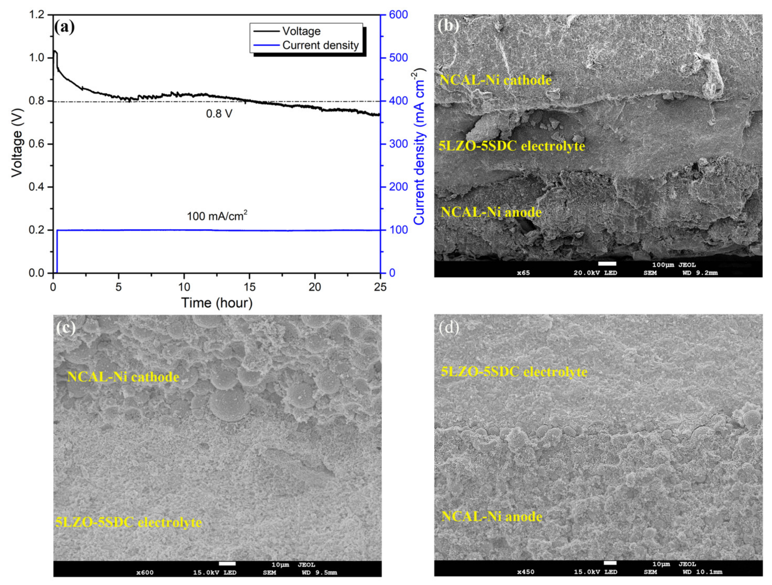 Nanomaterials 11 02277 g010 550