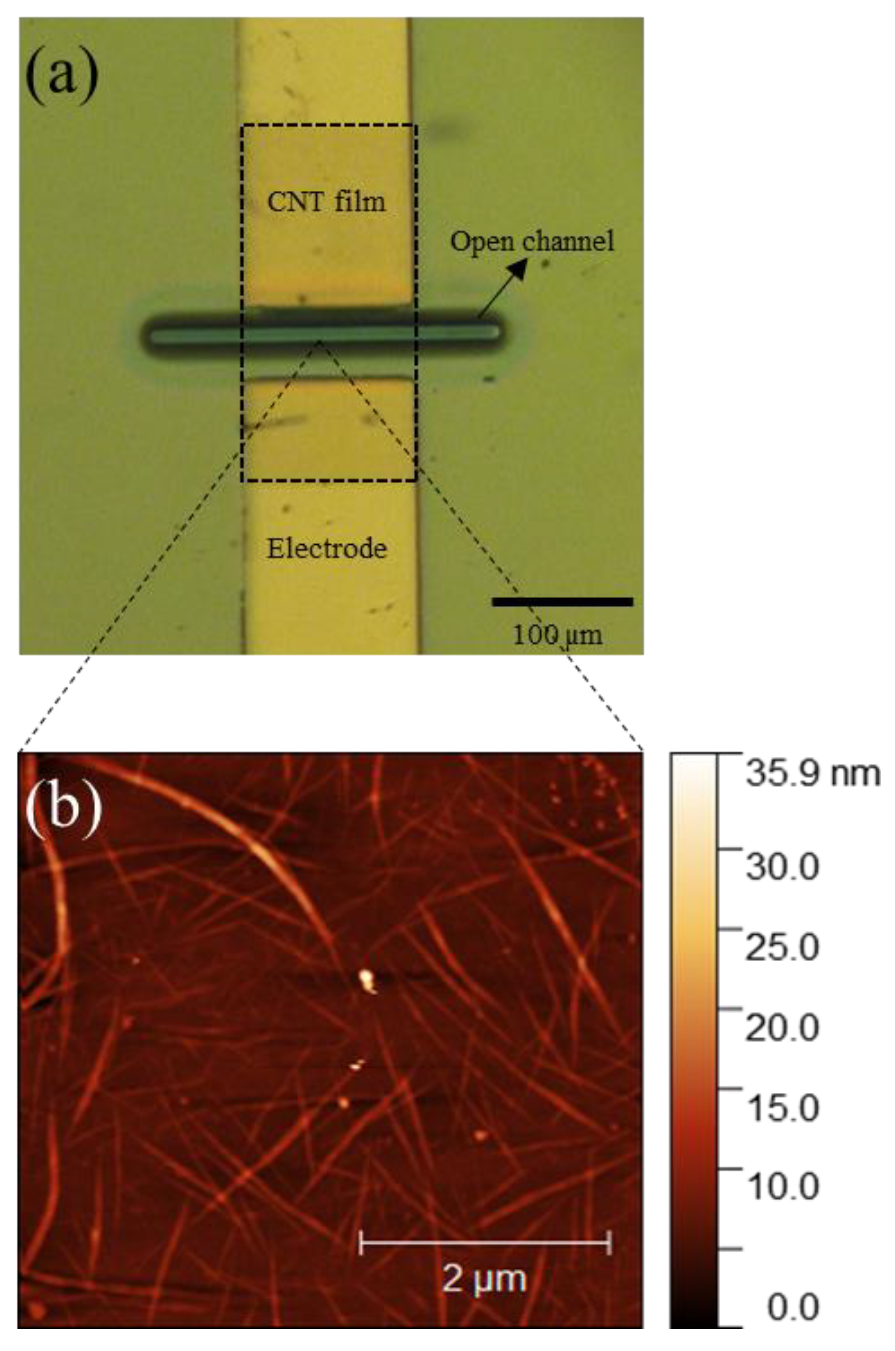 Nanomaterials 11 02280 g002 550