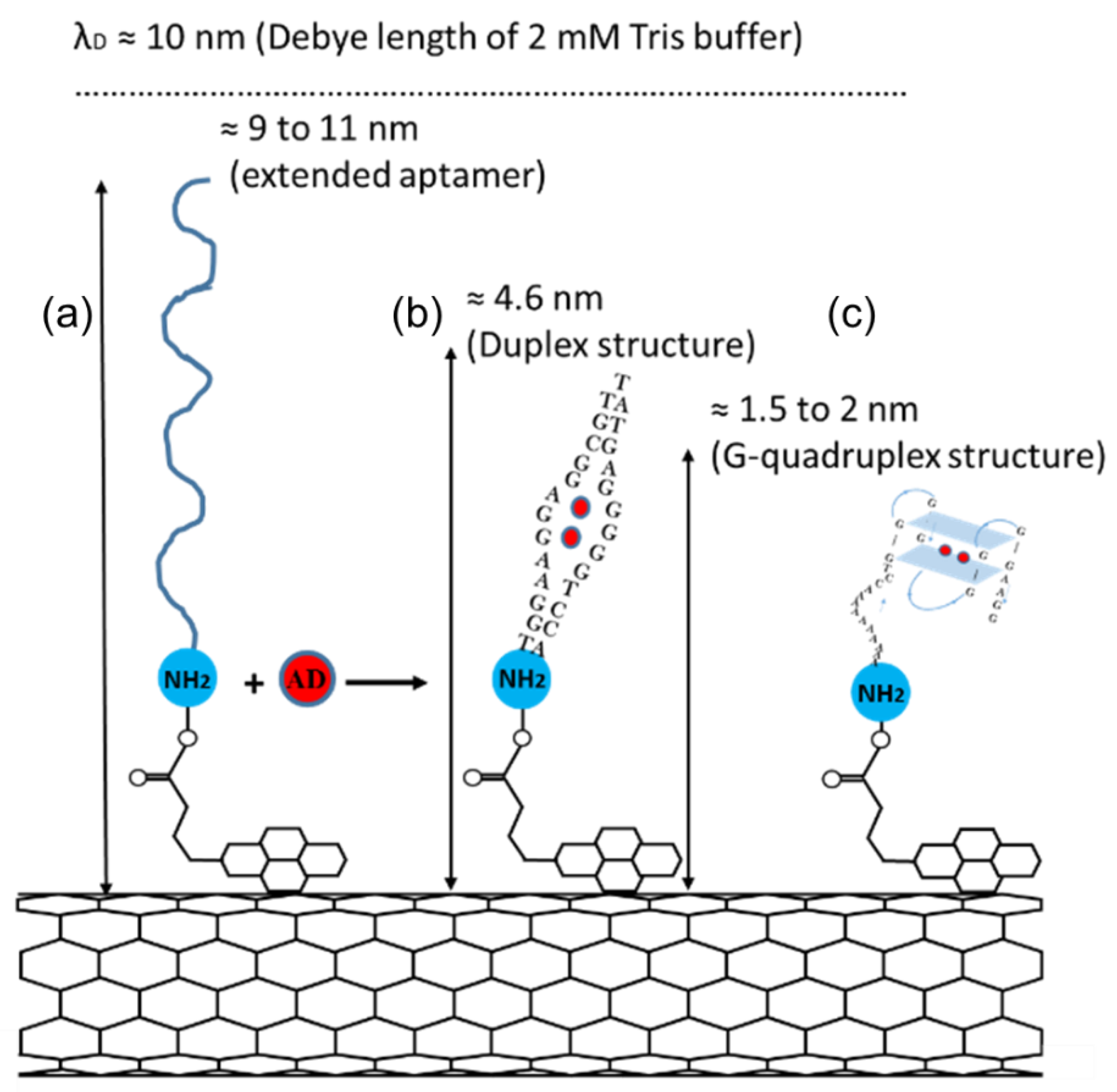 Nanomaterials 11 02280 g005 550