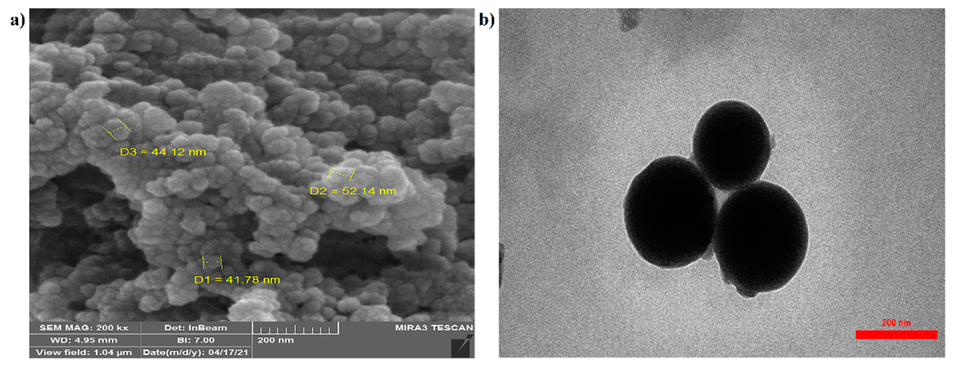 Nanomaterials 11 02287 g002