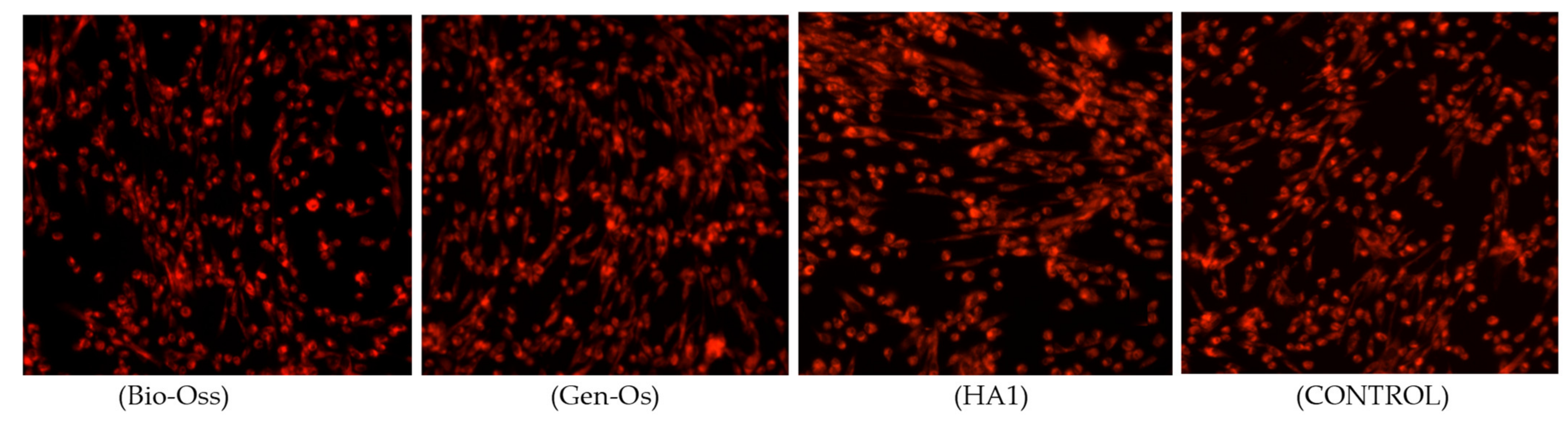 Nanomaterials 11 02289 g009