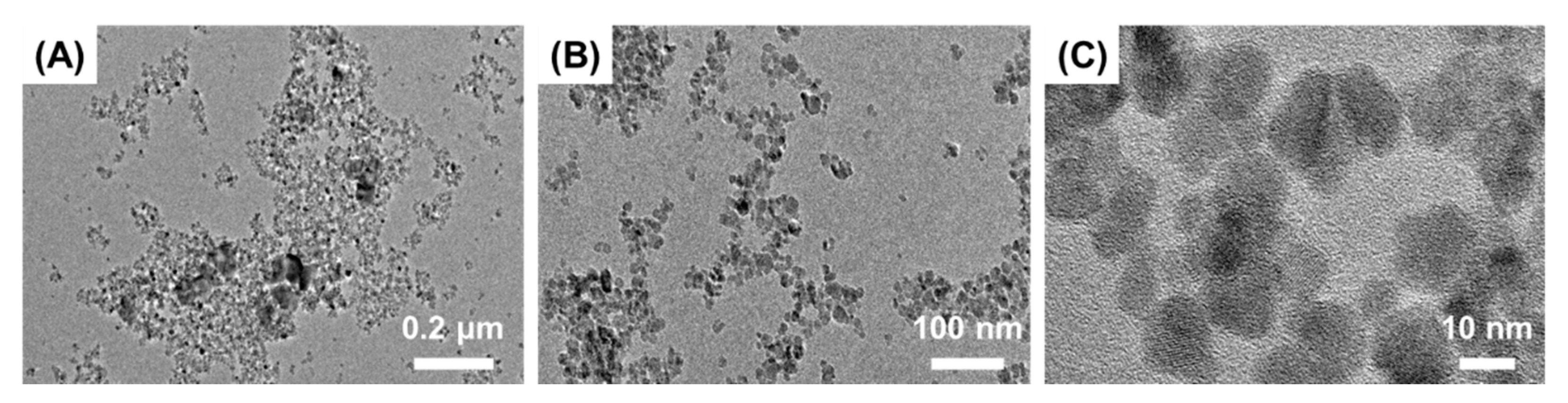 Nanomaterials 11 02292 g002