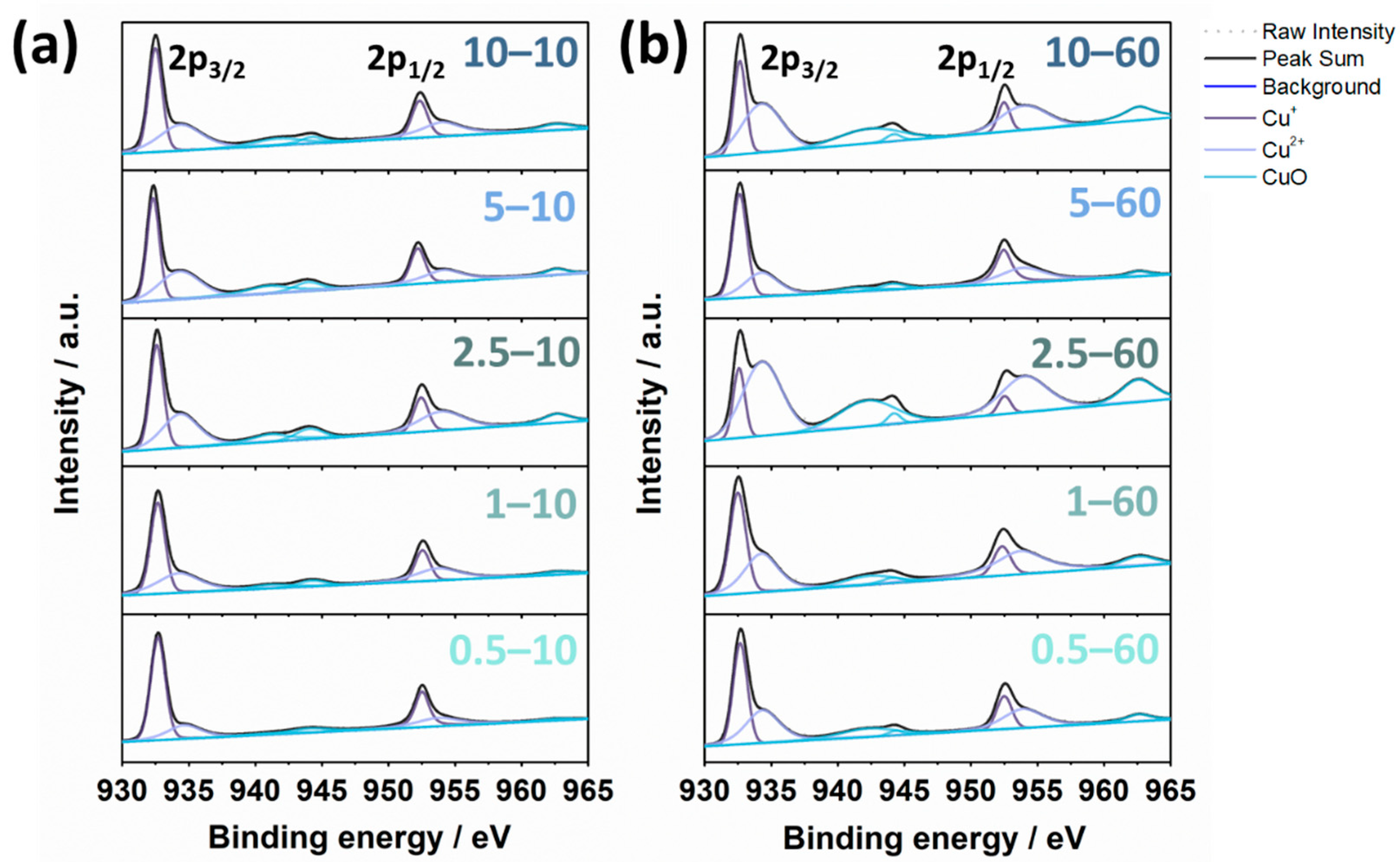 Nanomaterials 11 02317 g005 550