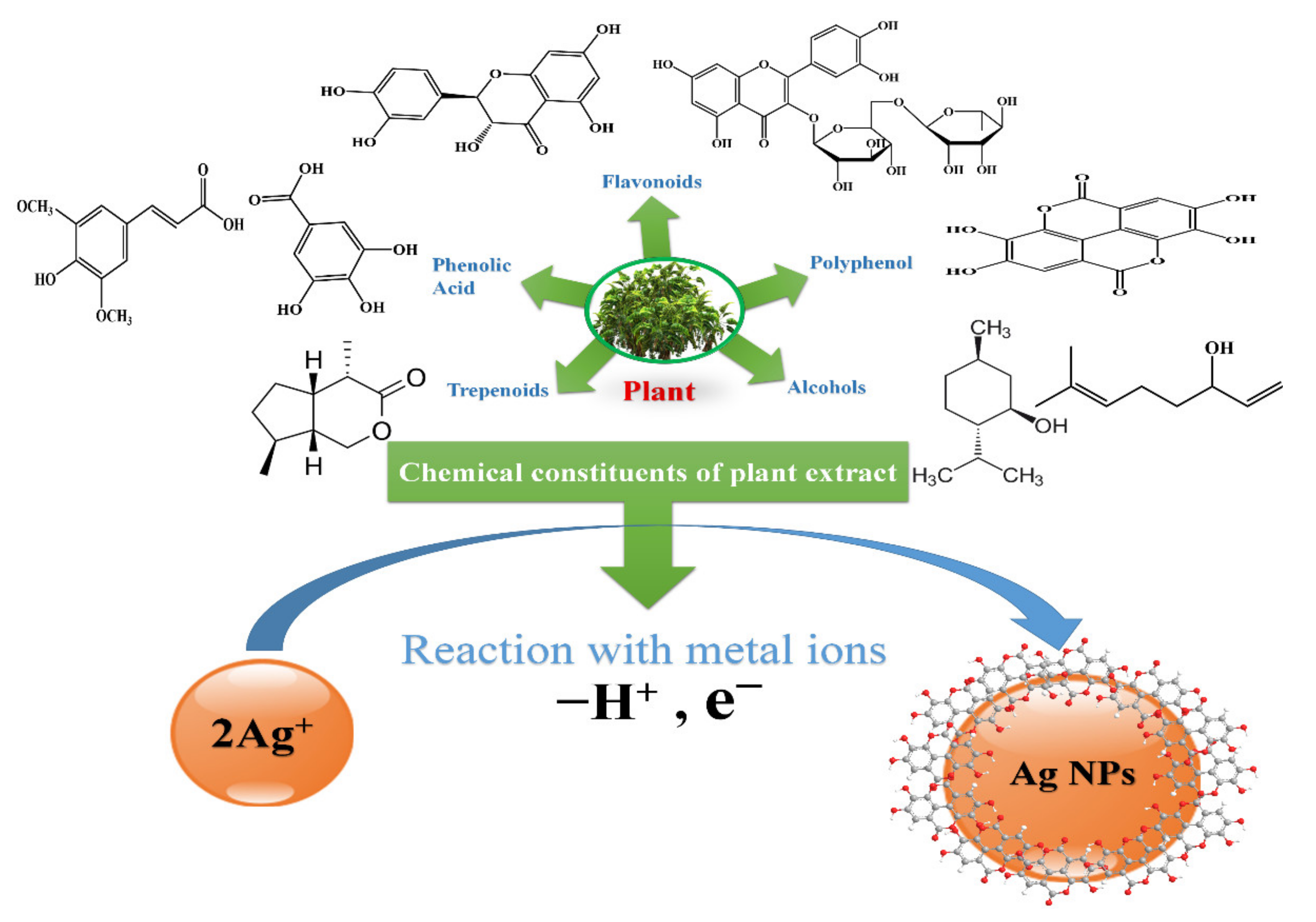 Nanomaterials 11 02318 g007 Nanomaterials 11 02318 g007
