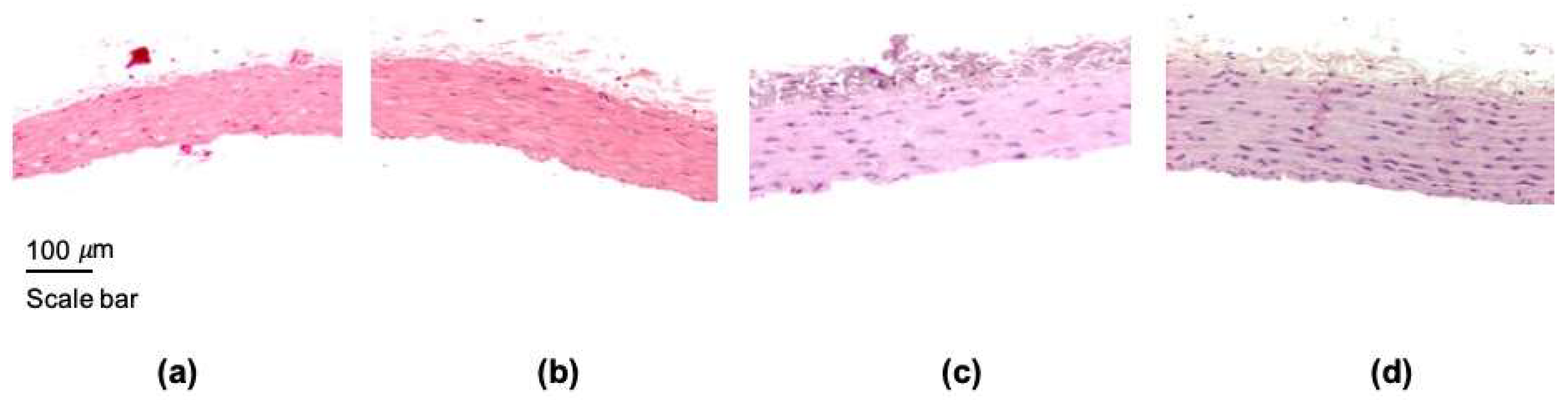Nanomaterials 11 02319 g001