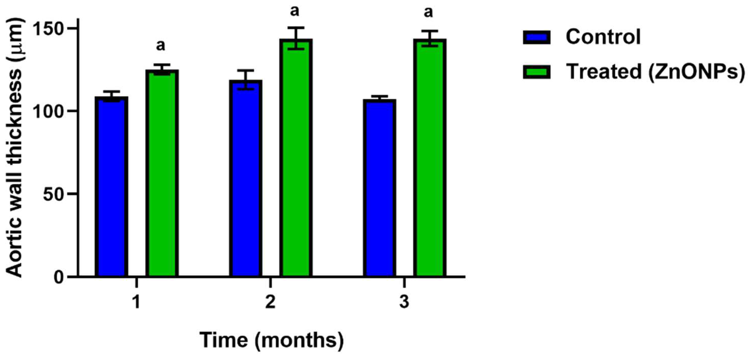 Nanomaterials 11 02319 g002