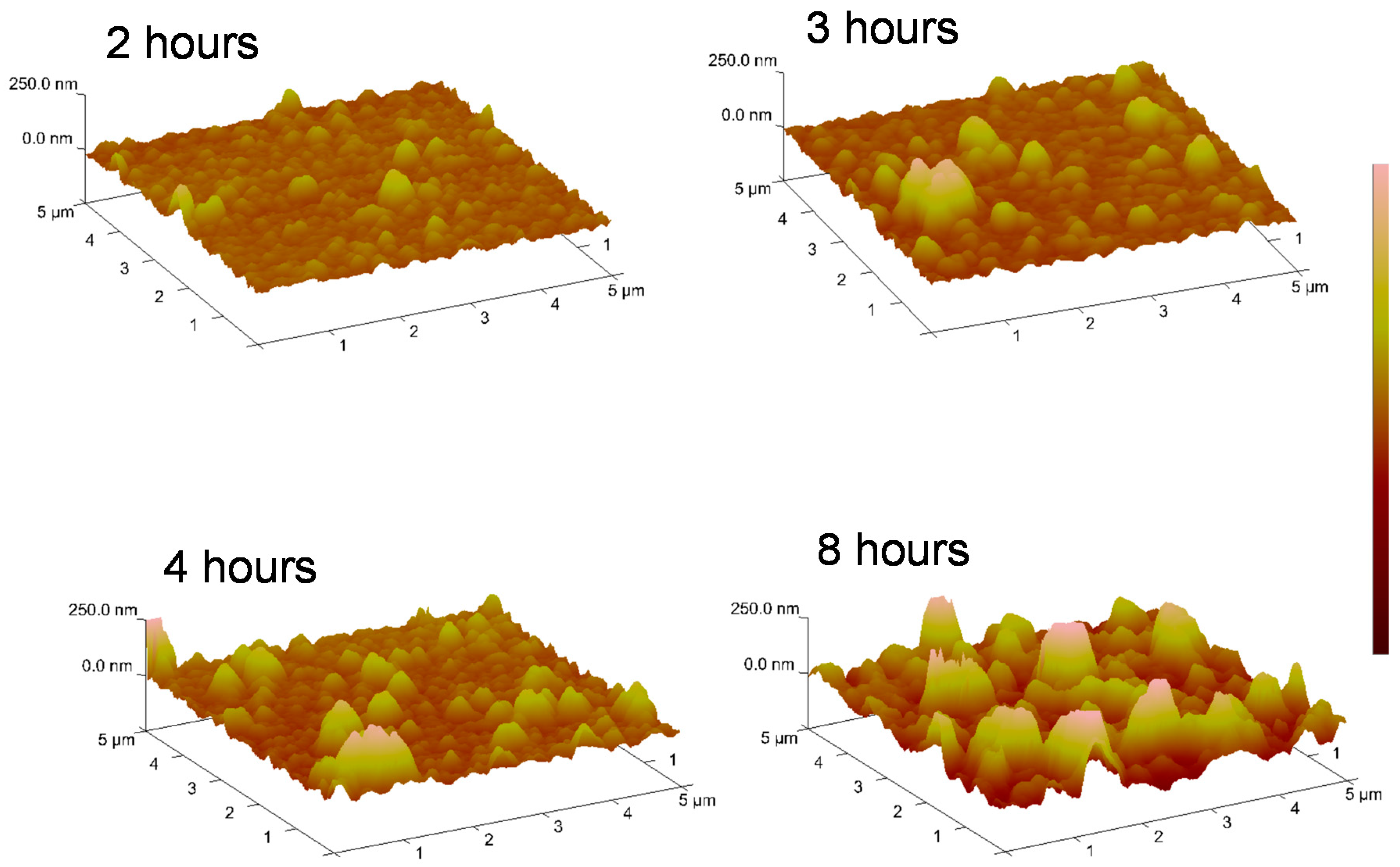 Nanomaterials 11 02320 g004