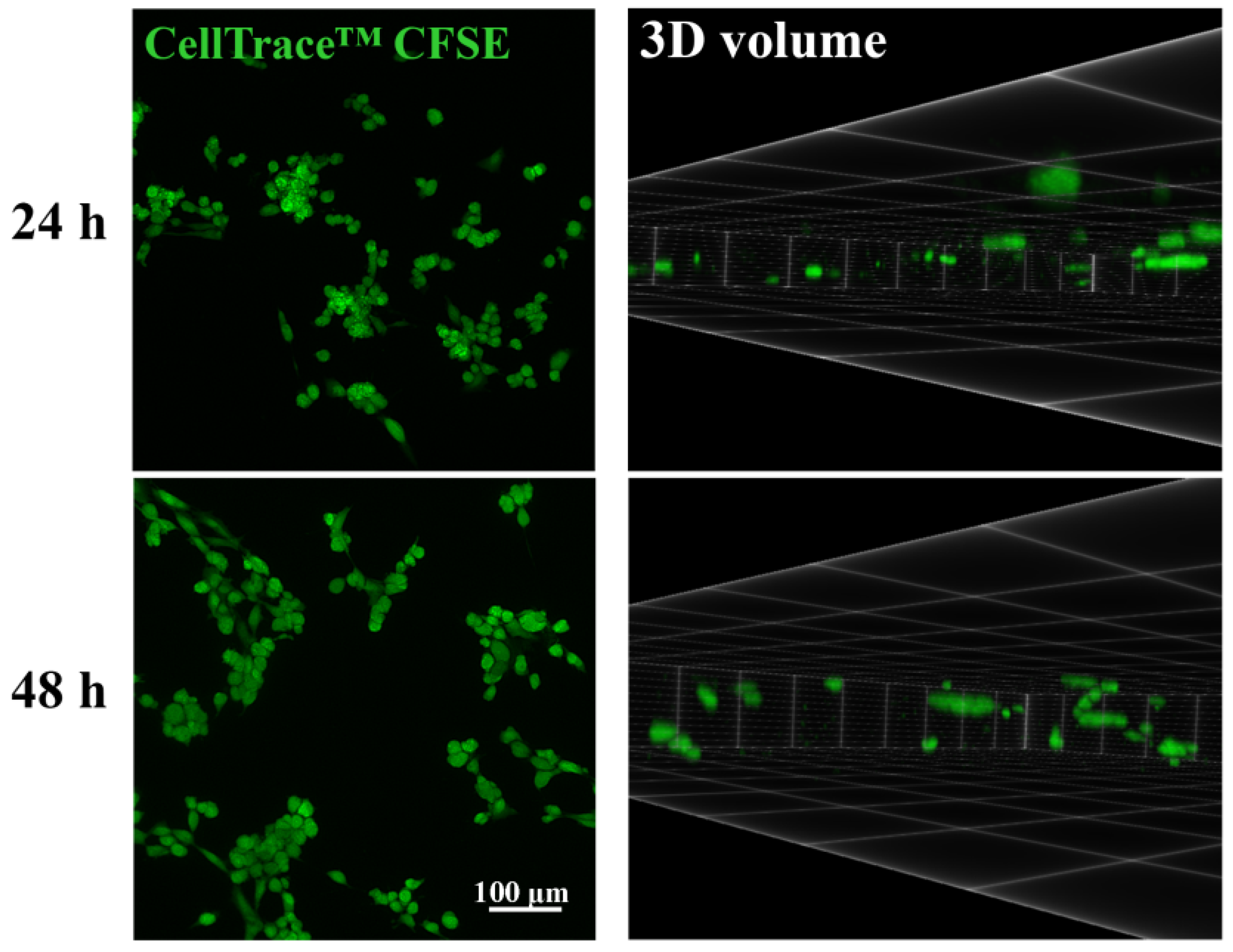 Nanomaterials 11 02322 g001 550