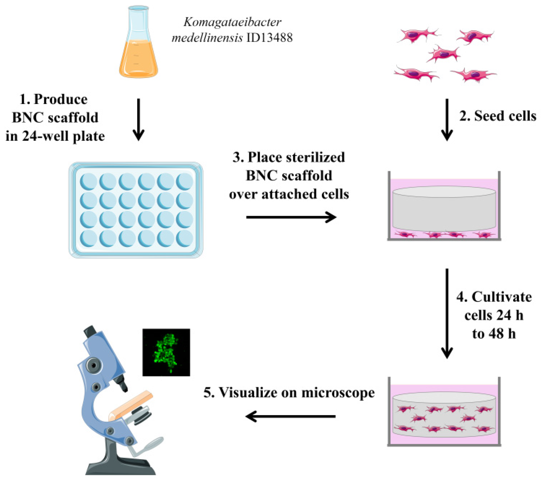 Nanomaterials 11 02322 g004 550