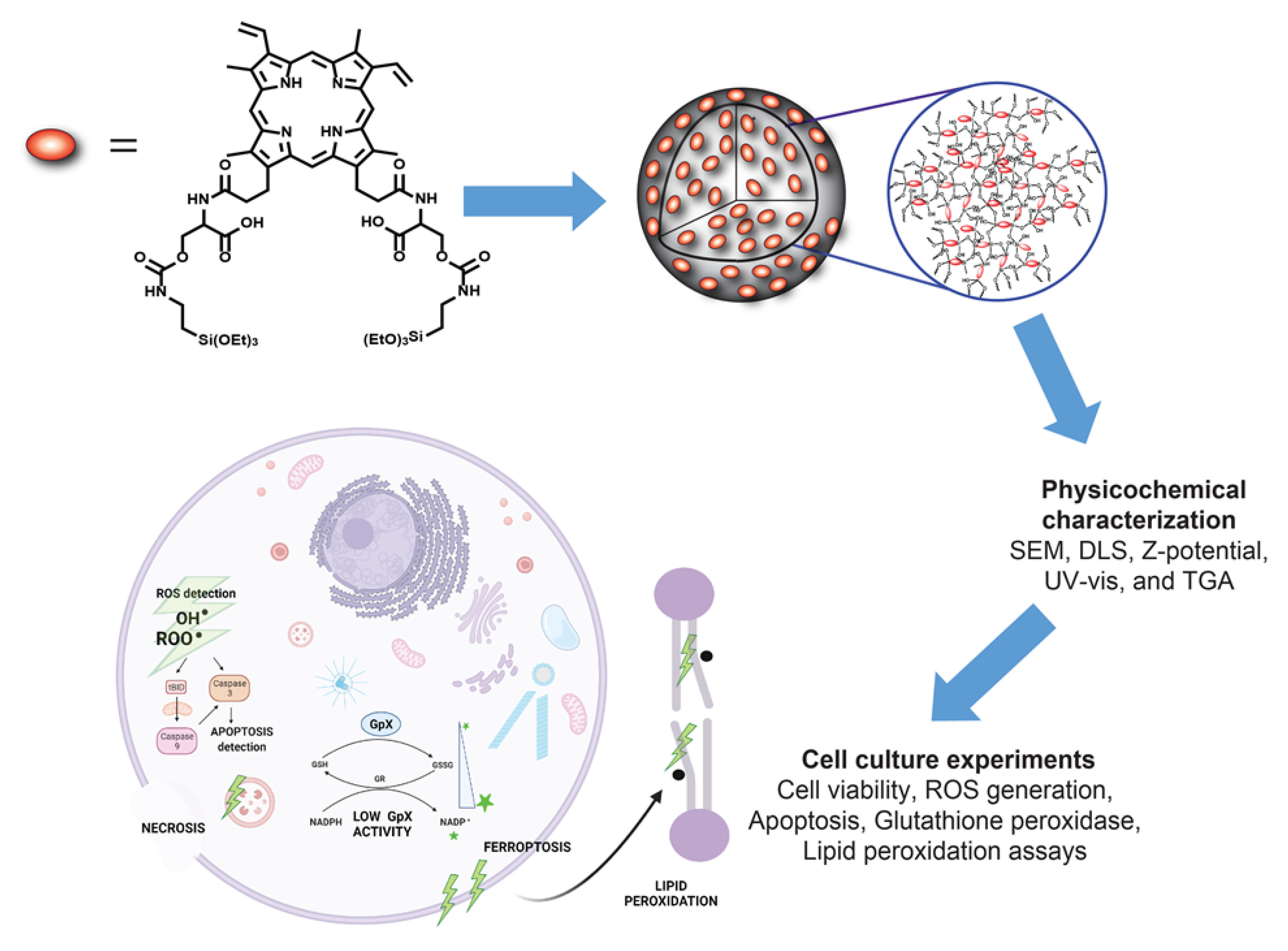 Nanomaterials 11 02324 sch001