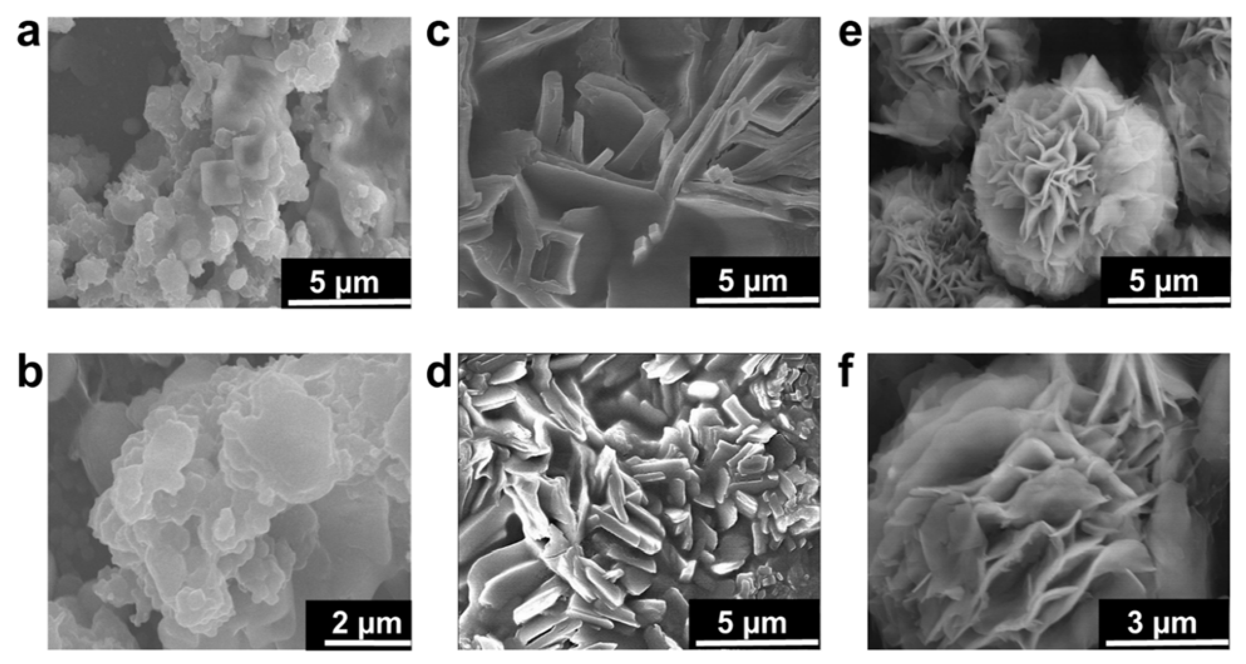 Nanomaterials 11 02327 g002