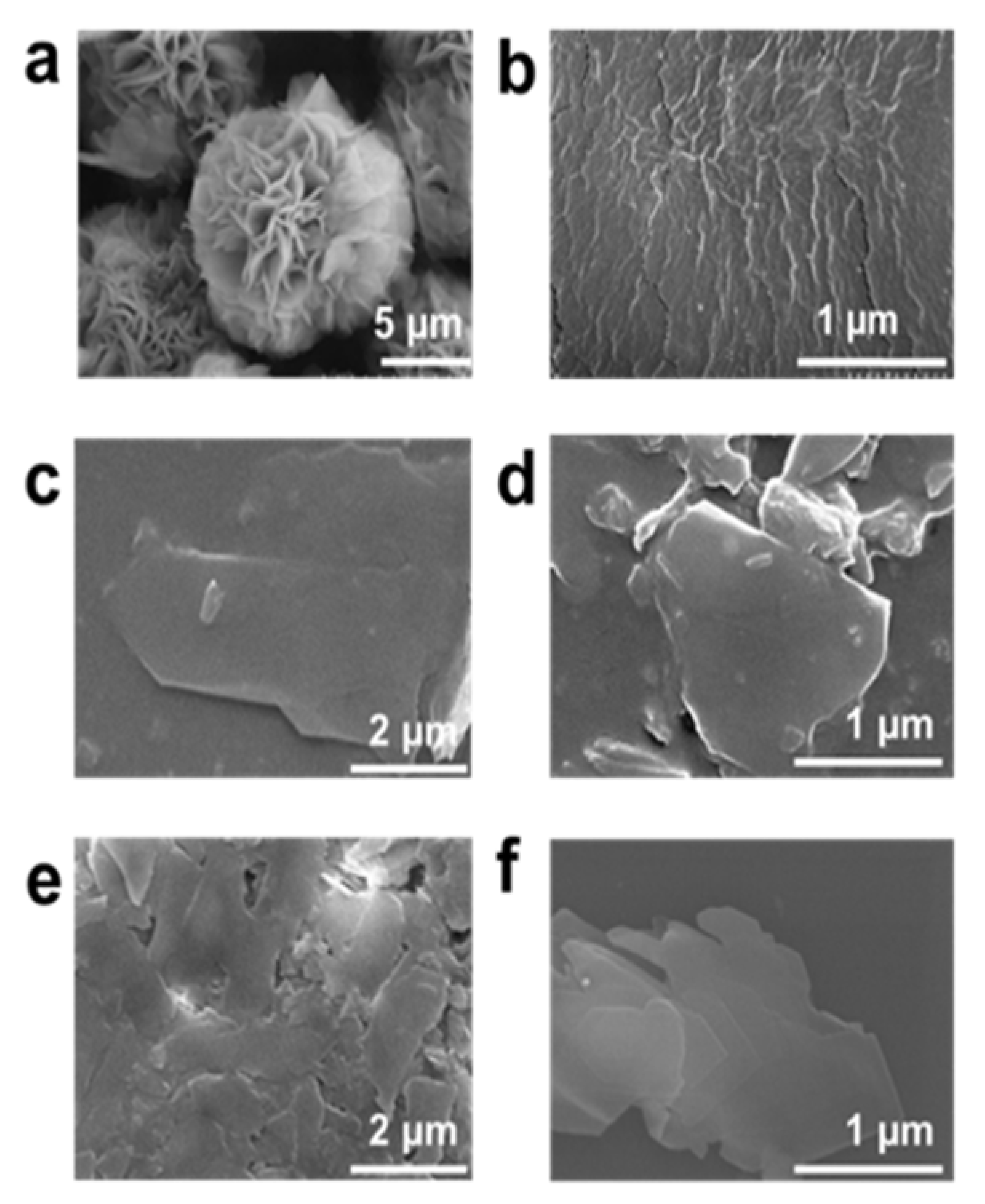 Nanomaterials 11 02327 g004